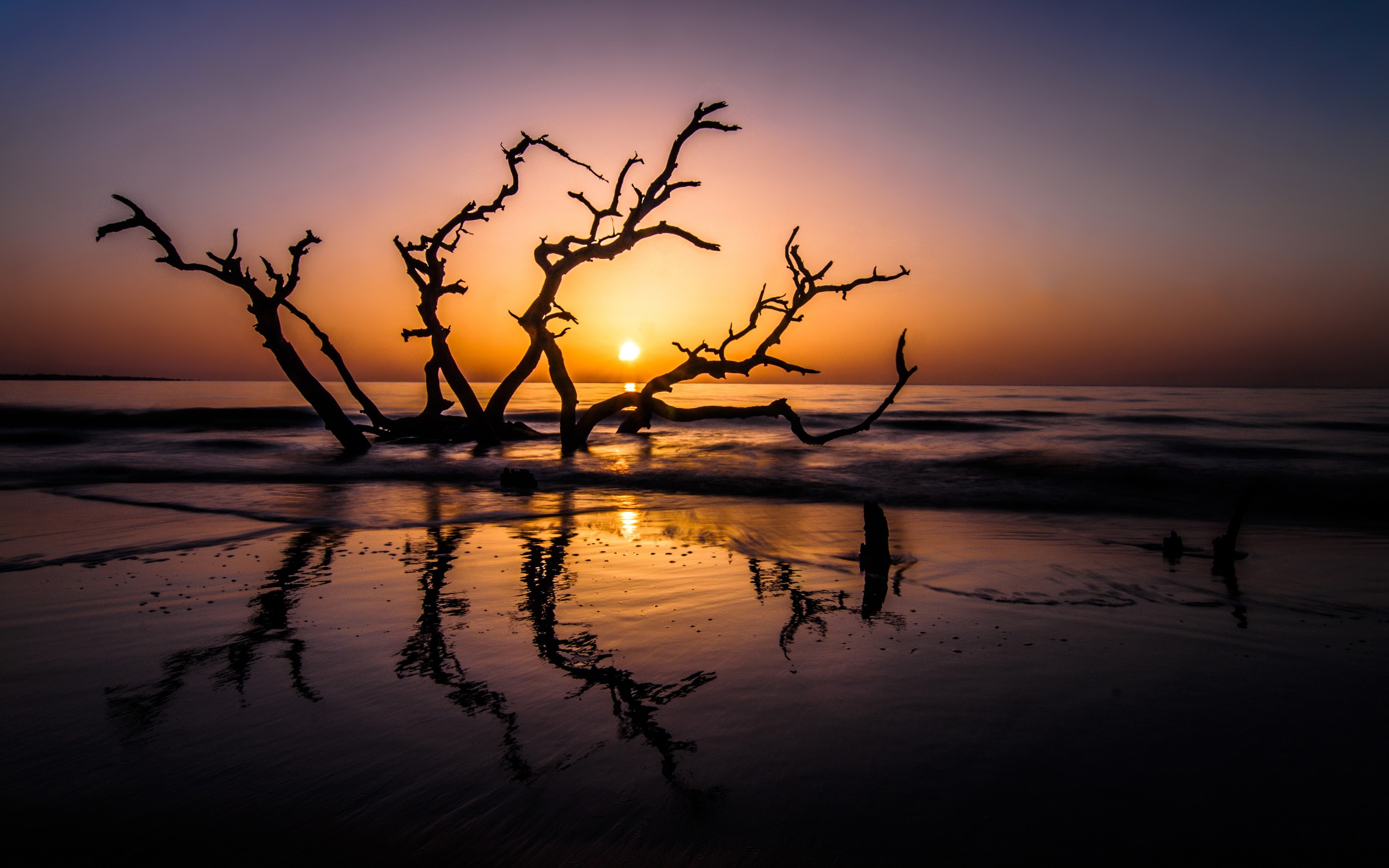 horizon, beach, landscape, sea, 4K, wet, sunset, reflection, Sun, dead trees, HD Wallpaper
