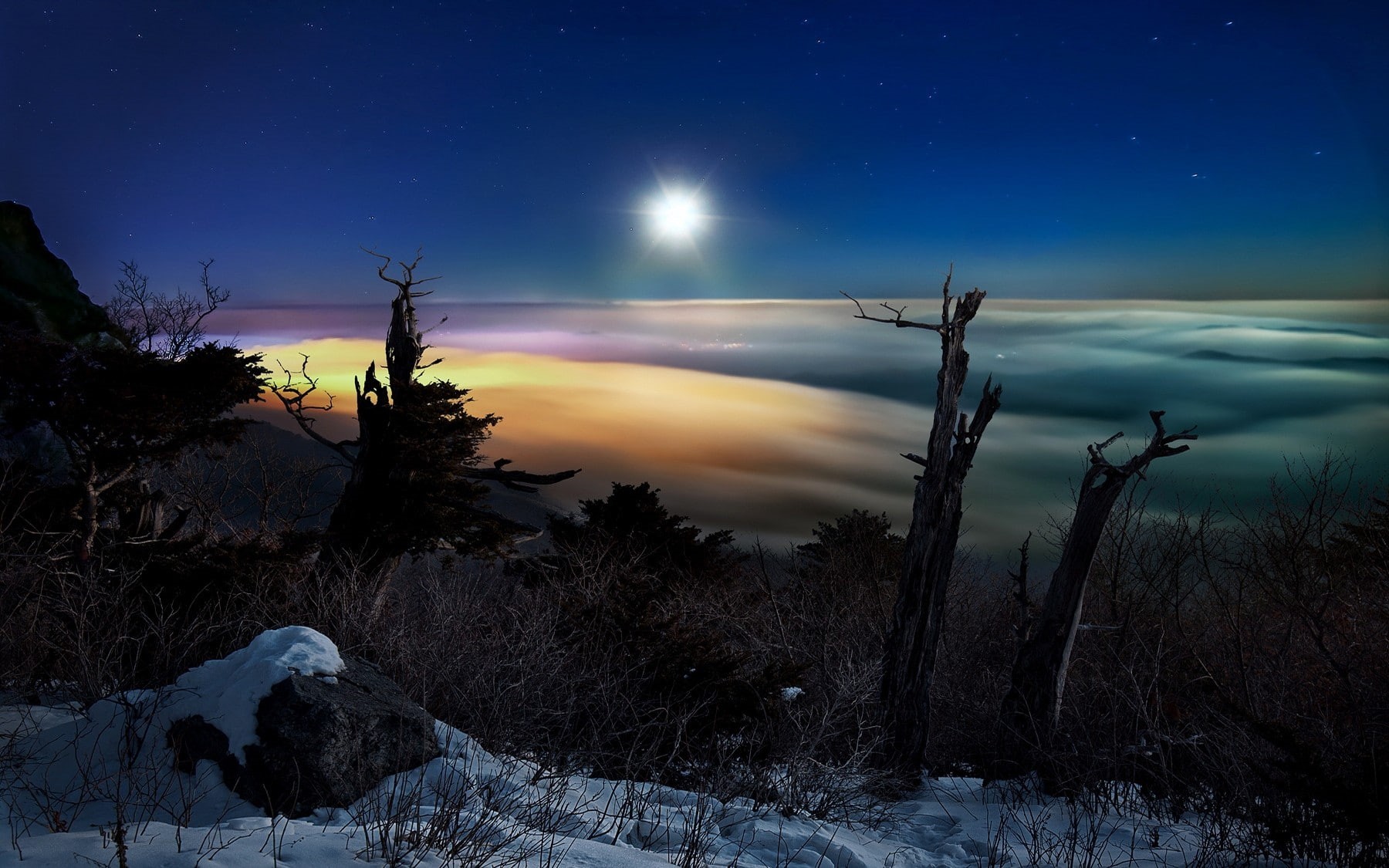shrubs, Moon, scenics - nature, environment, trees, no people, tranquil scene, tree, non-urban scene, nature, snow, South Korea, cold temperature, clouds, HD Wallpaper