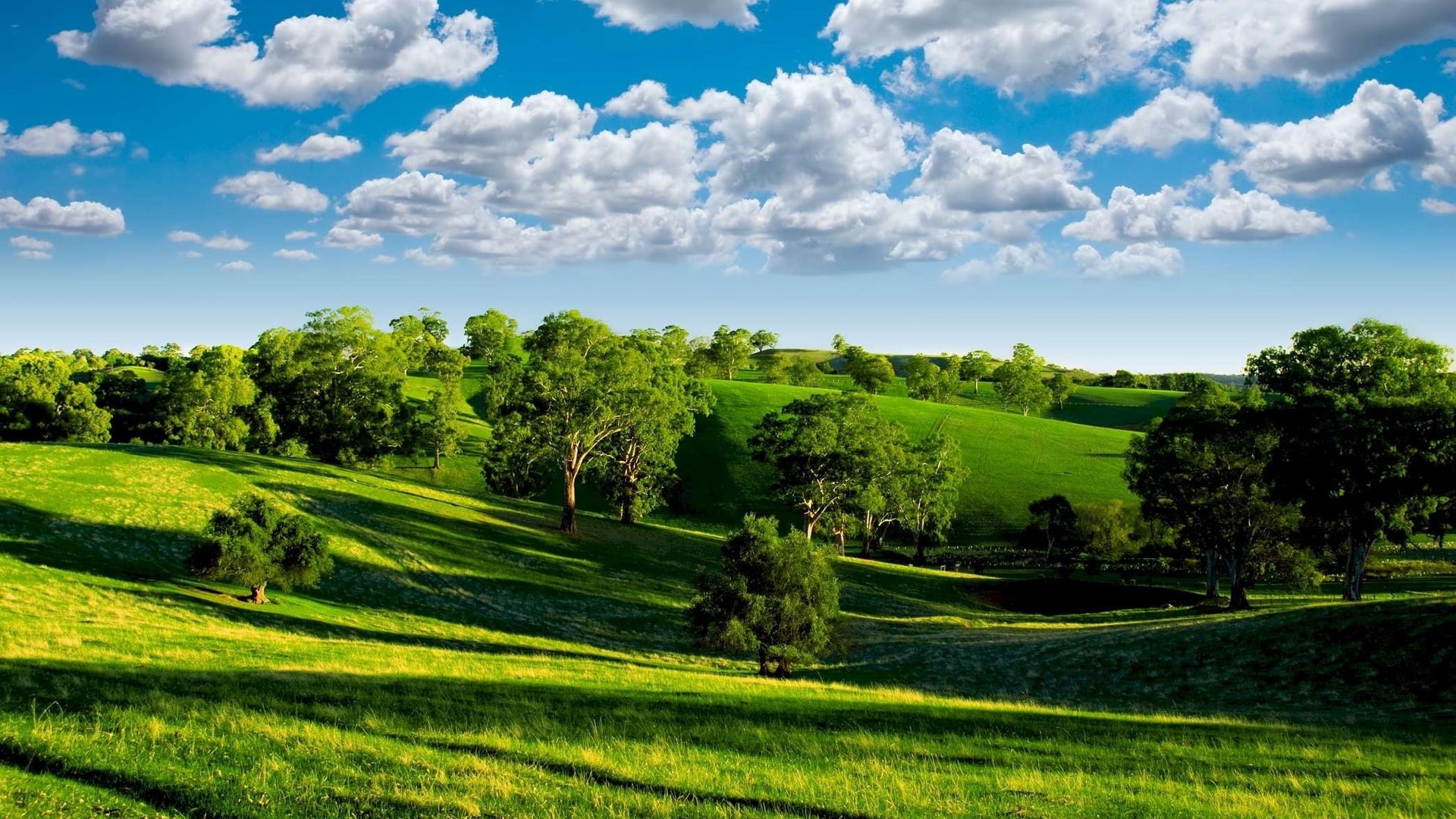 Scenery, Sun, Green, Blue, Trees, White, Nature, Clouds, 1080P, Valley, Grasslands, Sky, HD Wallpaper