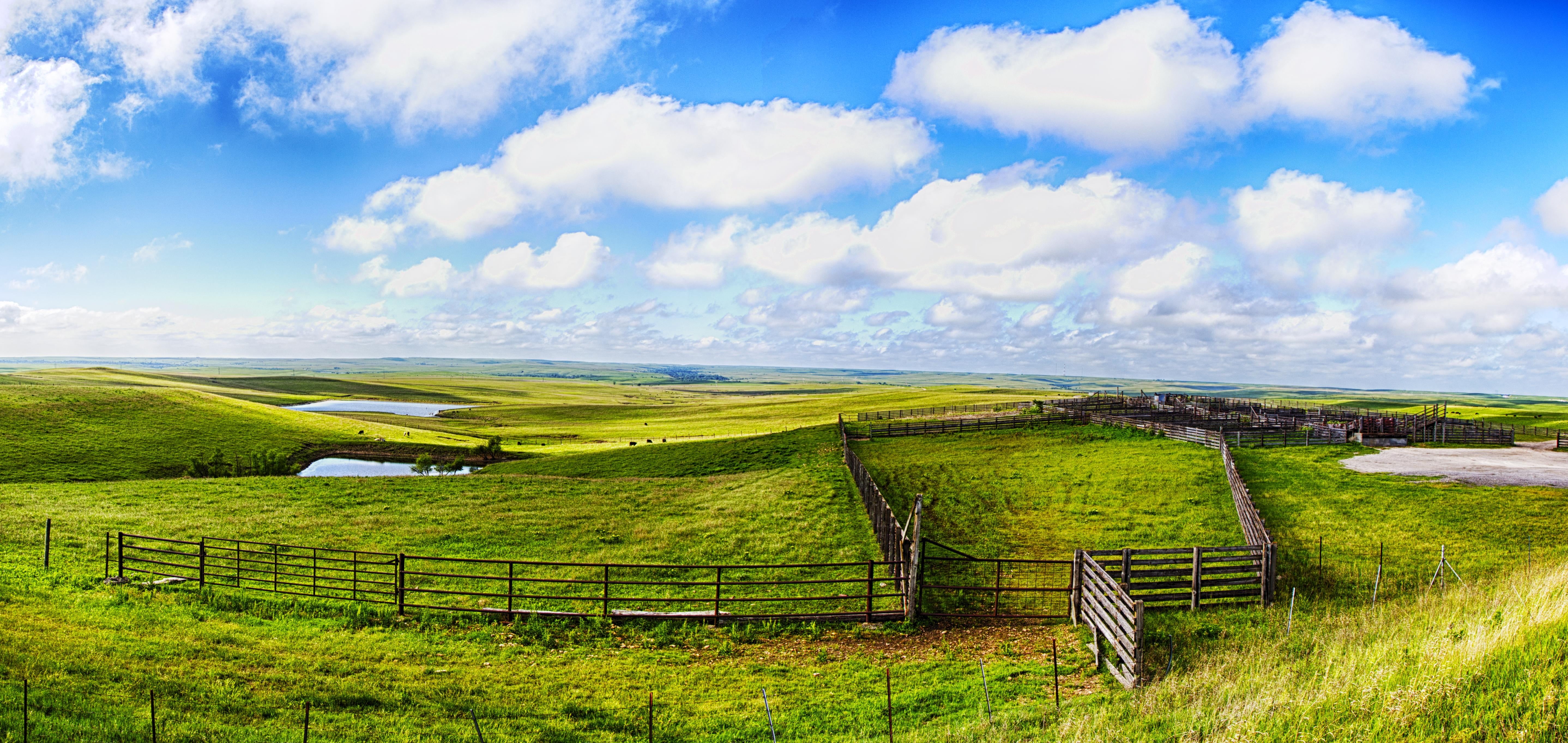 blue sky, field, hills, summer, Patrick, scenics, white, hill, rural Scene, outdoors, Panorama, meadow, blue, landscape, flint, daytime, green, Flint Hills, HD Wallpaper