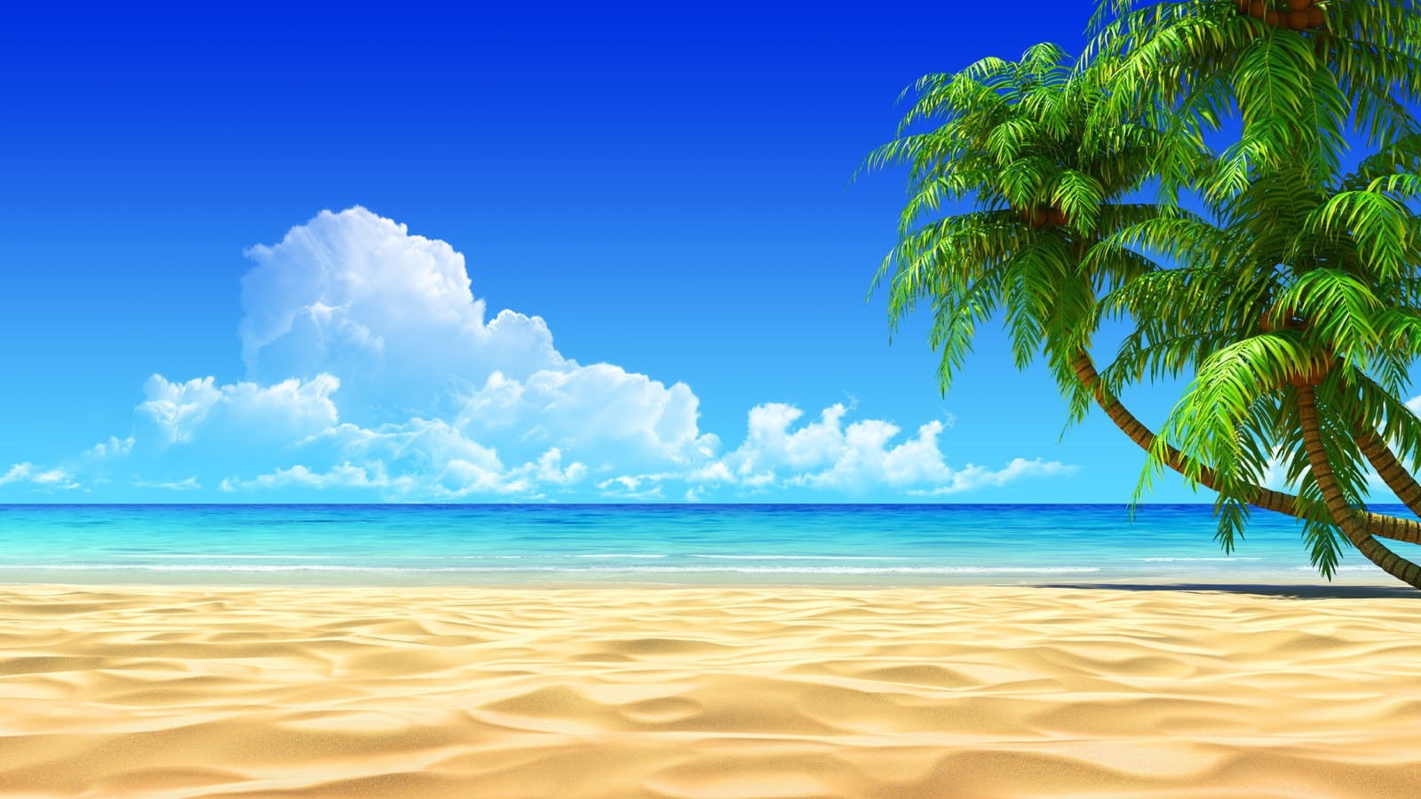 palm trees, palm, sand, 720P, beach, sky, landscape, clouds, trees, HD Wallpaper
