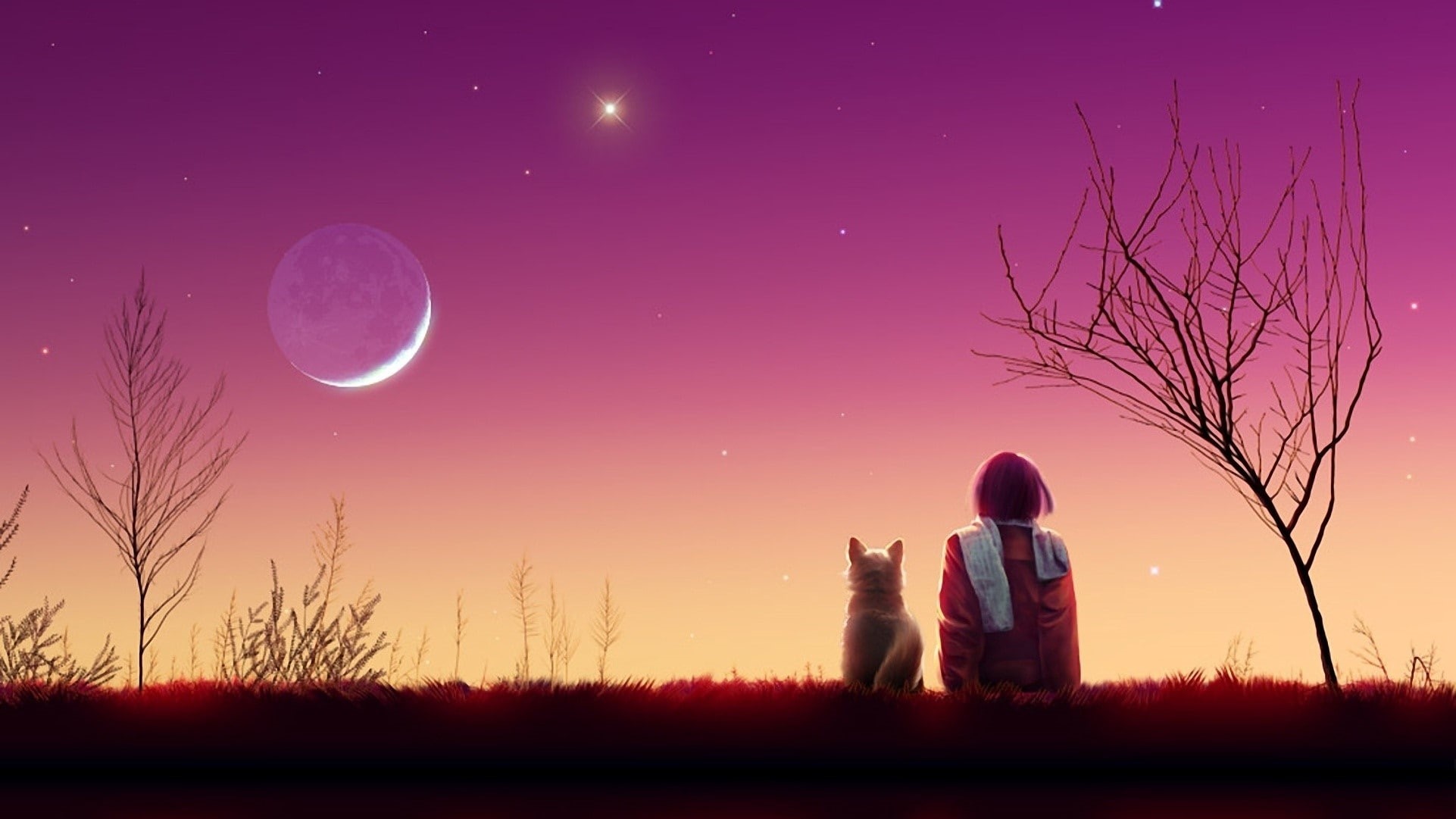 tree, rear view, people, sky, adult, women, plant, outdoors, Cat, moon, 1080P, space, togetherness, two people, men, star - space, Kagaya moon, Sunset, HD Wallpaper