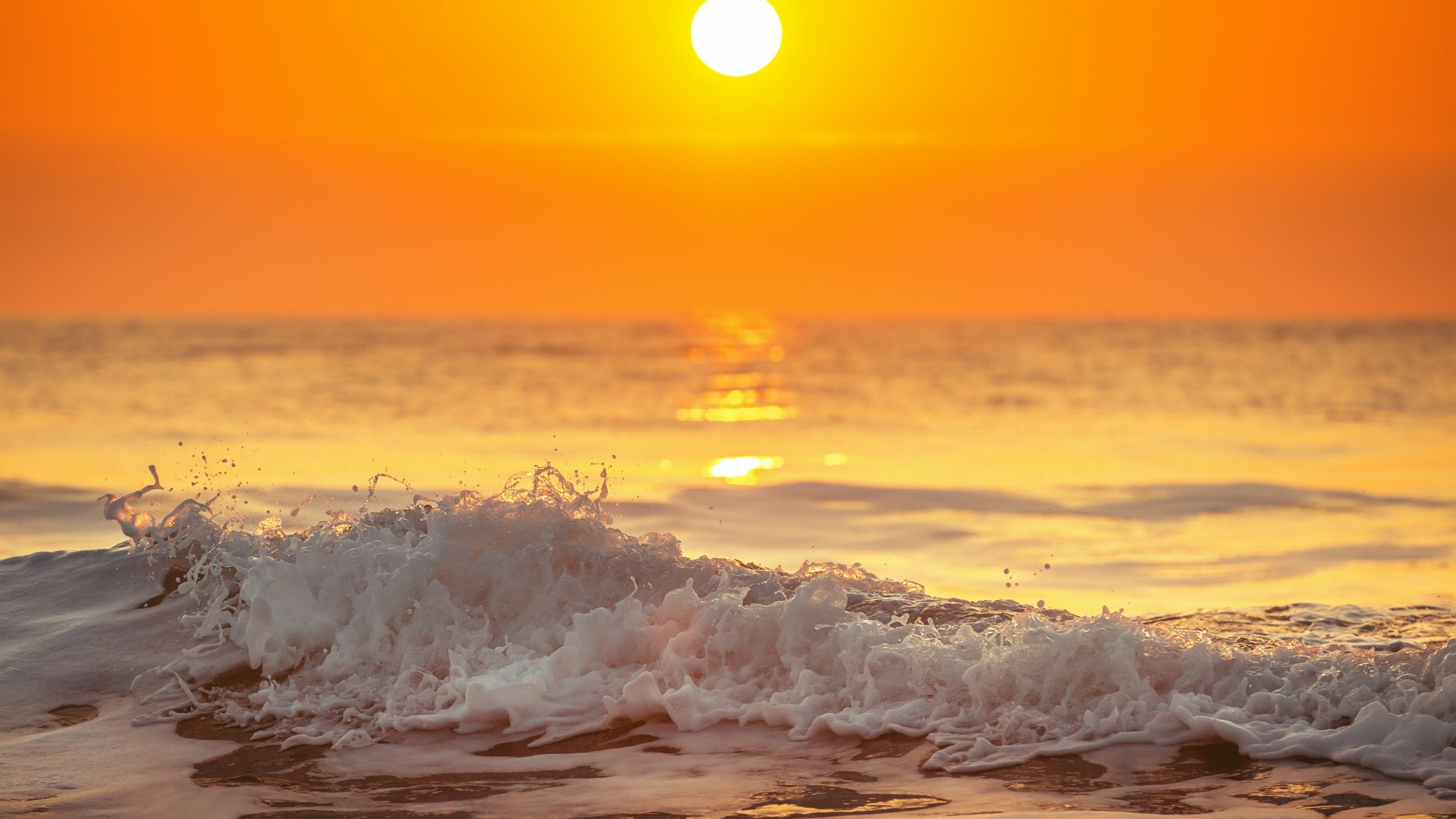 nature, scenics - nature, orange sky, calm, beauty in nature, motion, water, shore, breaking, ocean, sunrise, aquatic sport, surfing, horizon over water, HD Wallpaper
