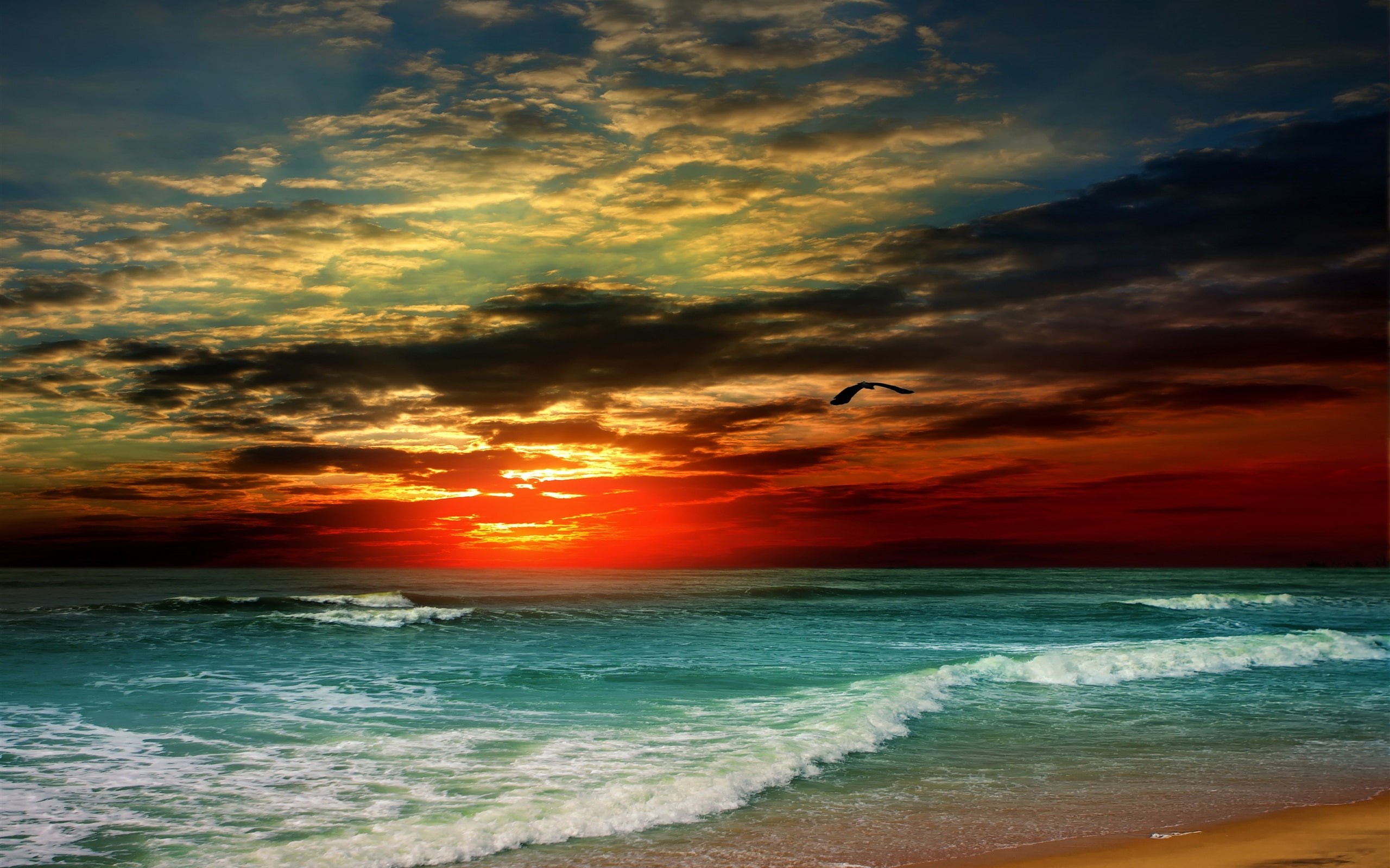 Beach, Waves, Bird, Tropical, Sunset, 2K, Clouds, Sea, HD Wallpaper