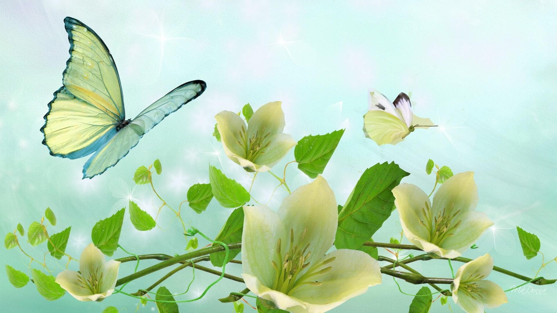 butterflies, pale, firefox persona, 1080P, soft, summer, green, 3d and abstract, softness, flowers, HD Wallpaper