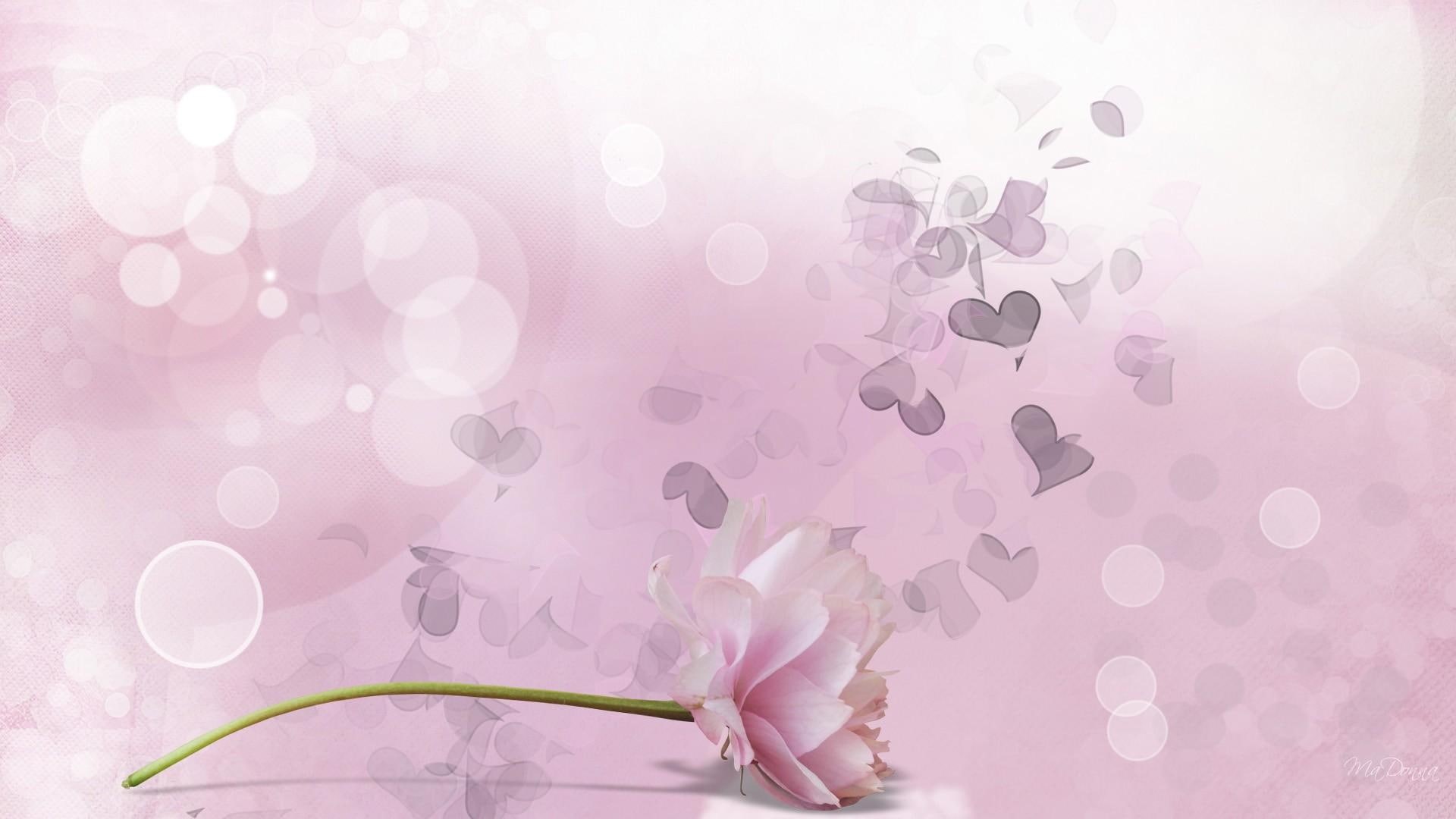 flower, firefox persona, desire, pink, spring, 1080P, rose, 3d and abstract, bokeh, illustration, hearts, summer, shadow, HD Wallpaper