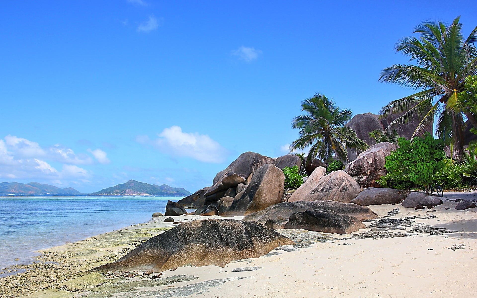 tree, beauty in nature, tropical, mammal, island, scenics - nature, palm trees, clouds, solid, day, beach, sky, sunlight, nature, sea, no people, plant, HD Wallpaper