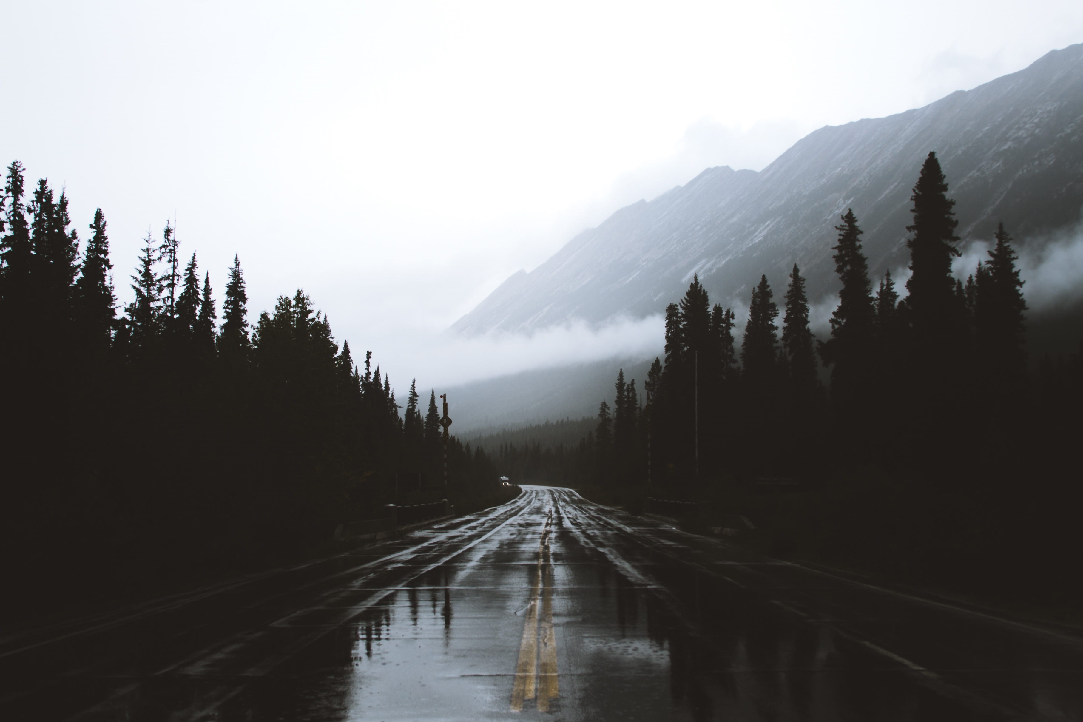 reflection, beauty In Nature, outdoors, rural Scene, forest, sunlight, banff, summer, road trip, blue, snow, tree, scenics, sky, day, silhouette, mountain Peak, HD Wallpaper