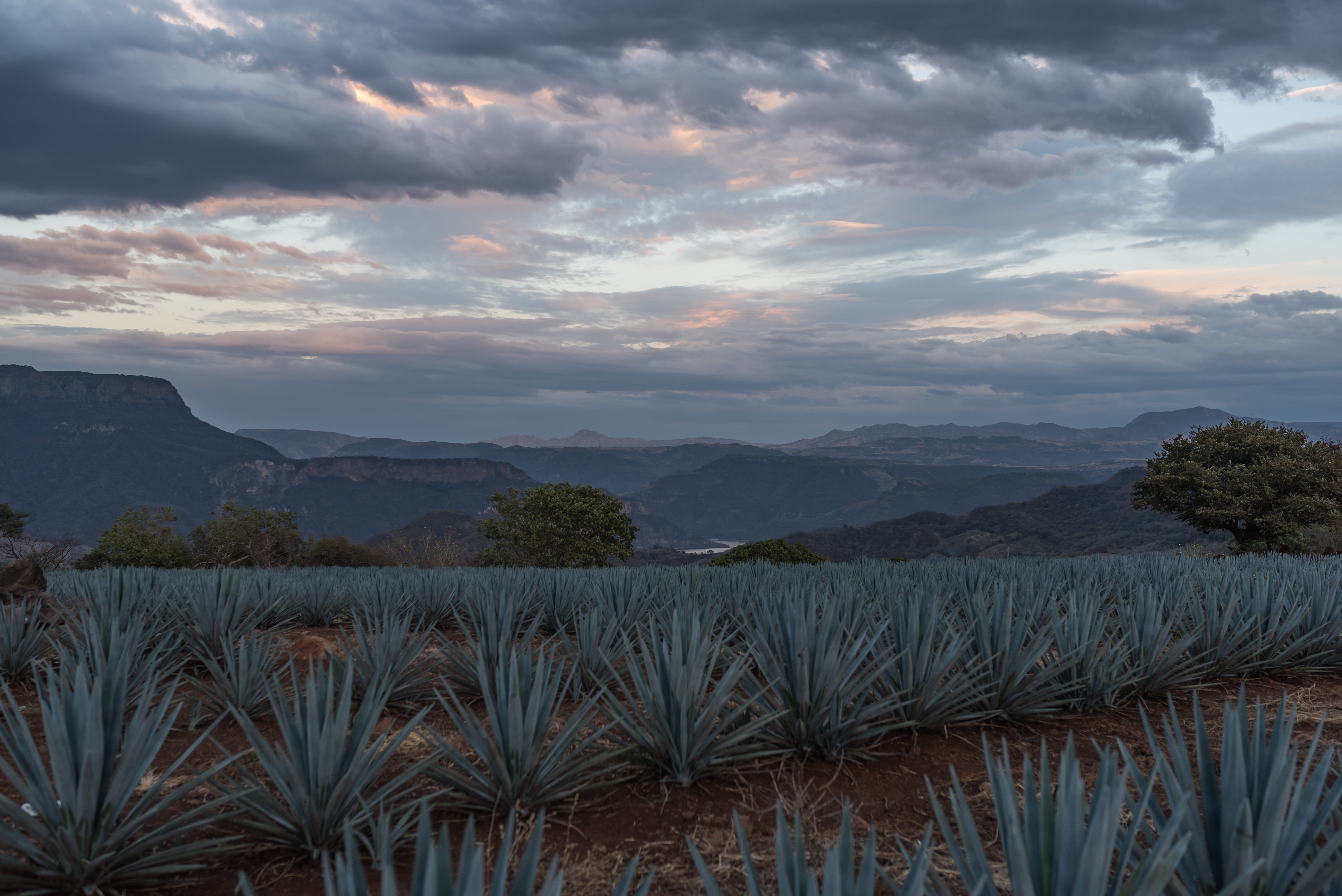 scenics - nature, sky, beauty in nature, sunset, non-urban scene, valley, pastel, dusk, mountain, no people, growth, tequila, tranquil scene, riverside, HD Wallpaper