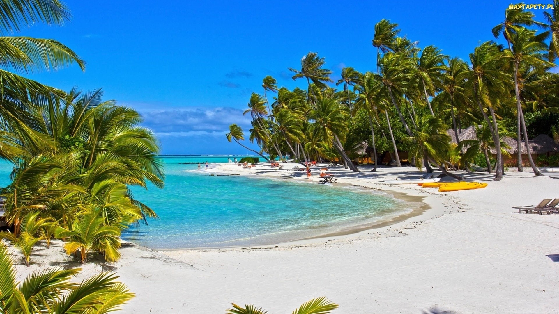 blanca, 1080P, mar, playa, palmeras, naturaleza, HD Wallpaper
