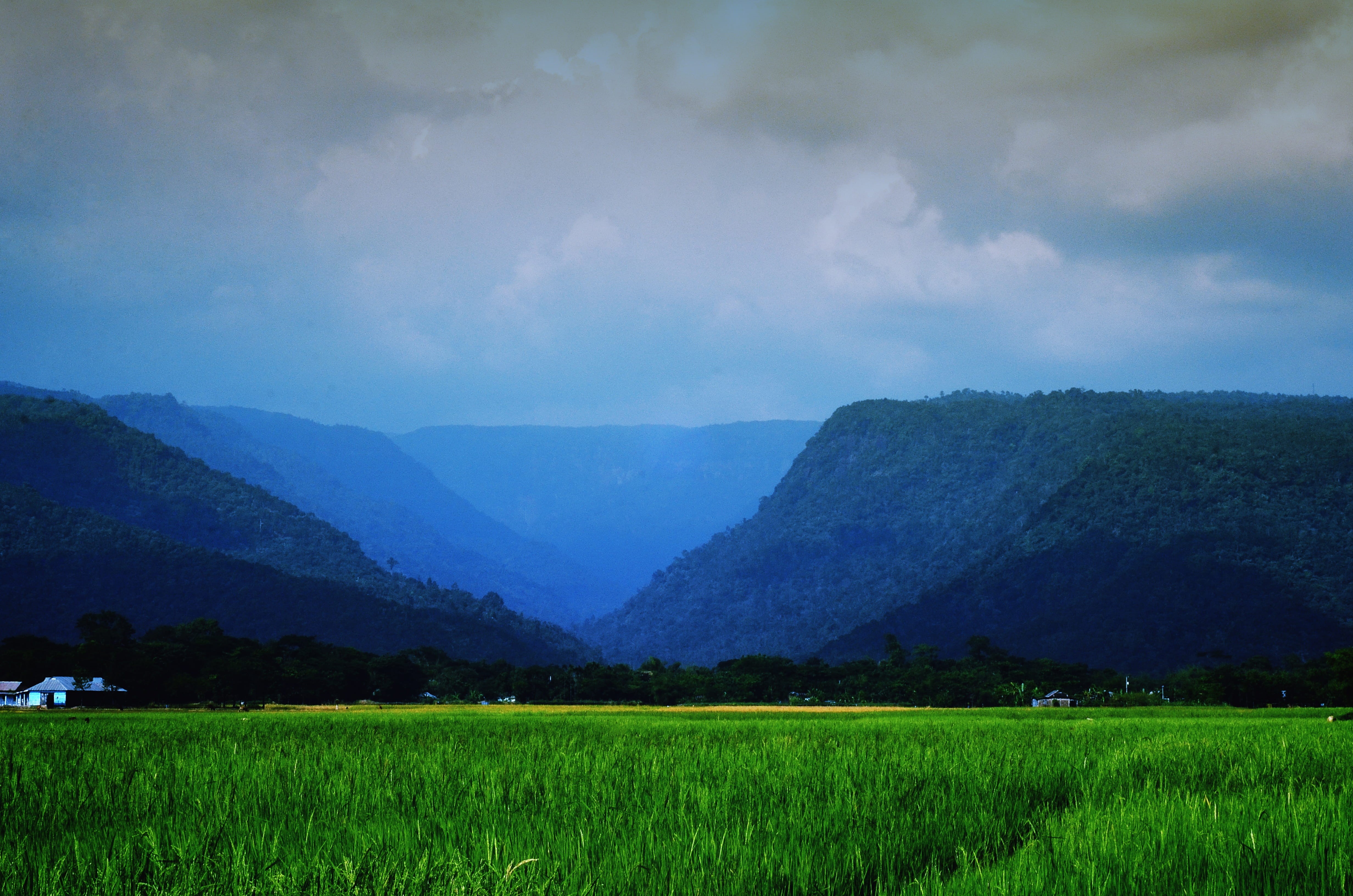 4K, green, sky, rural Scene, Sylhet, Nature, cloud, bangladesh, scenics - nature, scenics, field, tranquility, land, plant, hill, cloud - Sky, grass, environment, HD Wallpaper