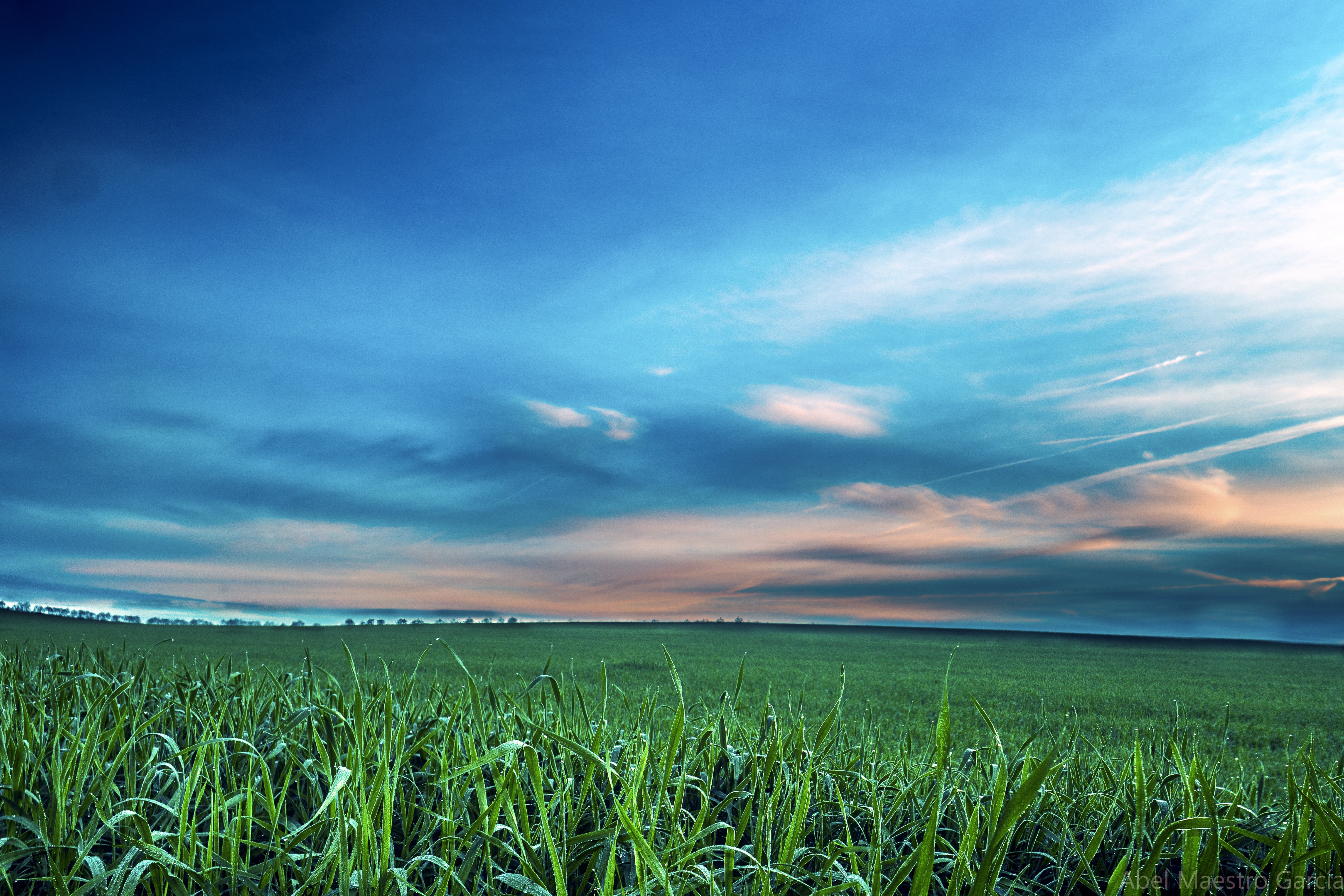 5K, Sevilla, España, nature, el Sol, Hoy, landscape, rural Scene, fondo, plant, outdoors, green grass, cloud - Sky, meadow, sunset, season, agriculture, HD Wallpaper