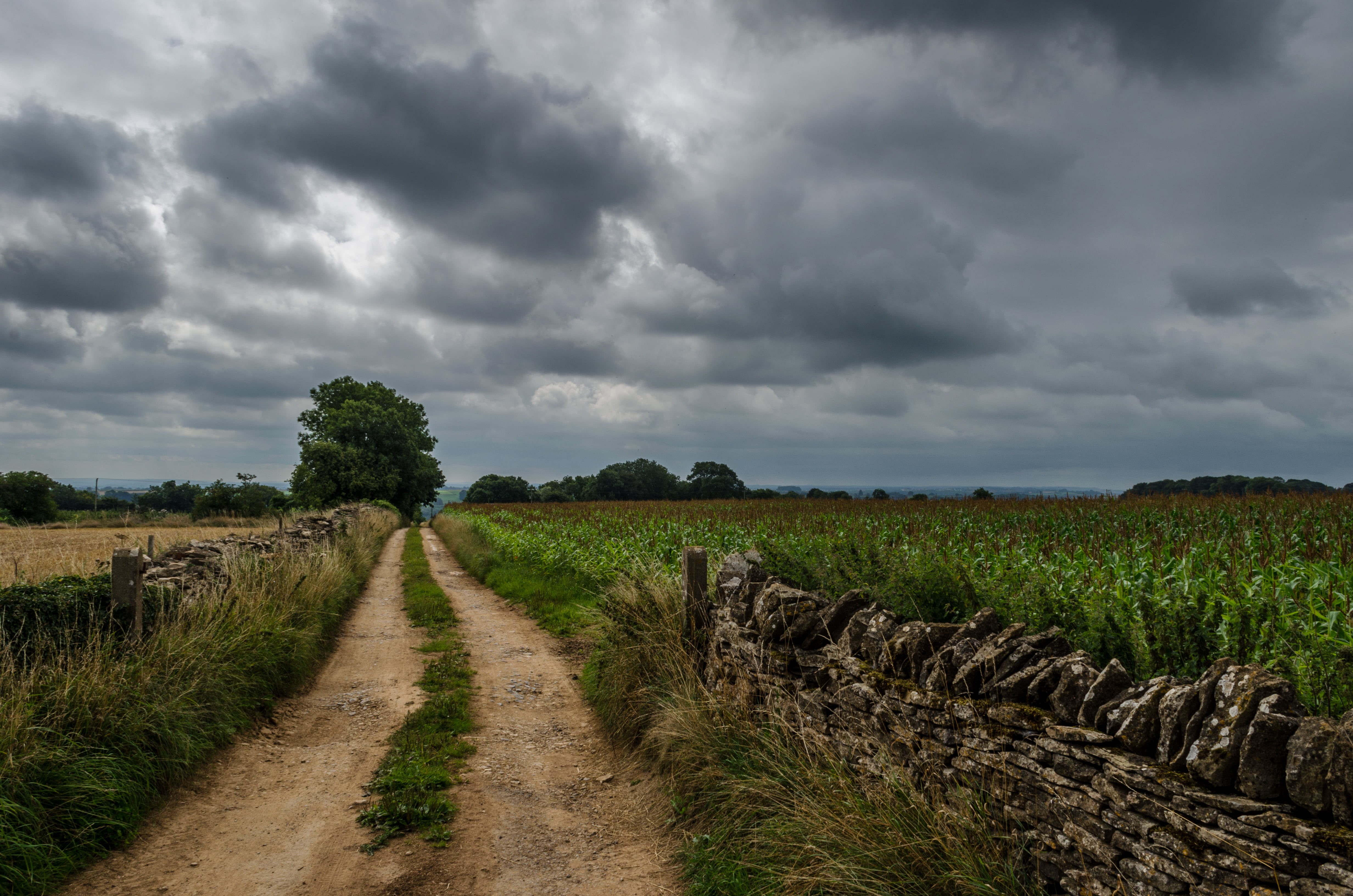 cloudy, grass, summer, gray, field, outdoors, green, rural, Wotton Under Edge, agriculture, Clouds, photo, England, track, farm, 4K, sky, nature, countryside, HD Wallpaper