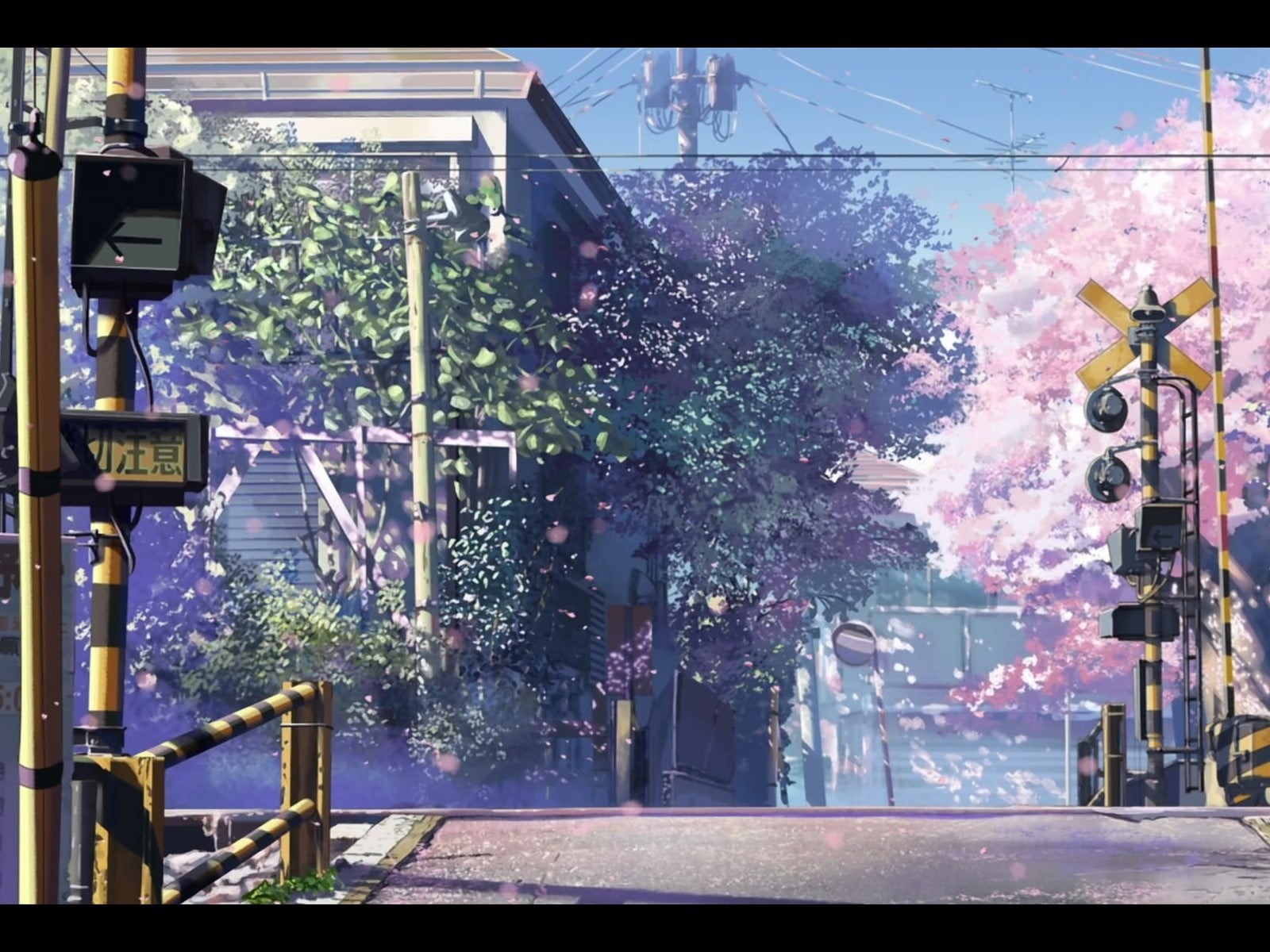 transparent, plant, street, nawa, kimi, outdoors, glass - material, architecture, 720P, building, tree, cherry blossom, built structure, 5 Centimeters Per Second, HD Wallpaper