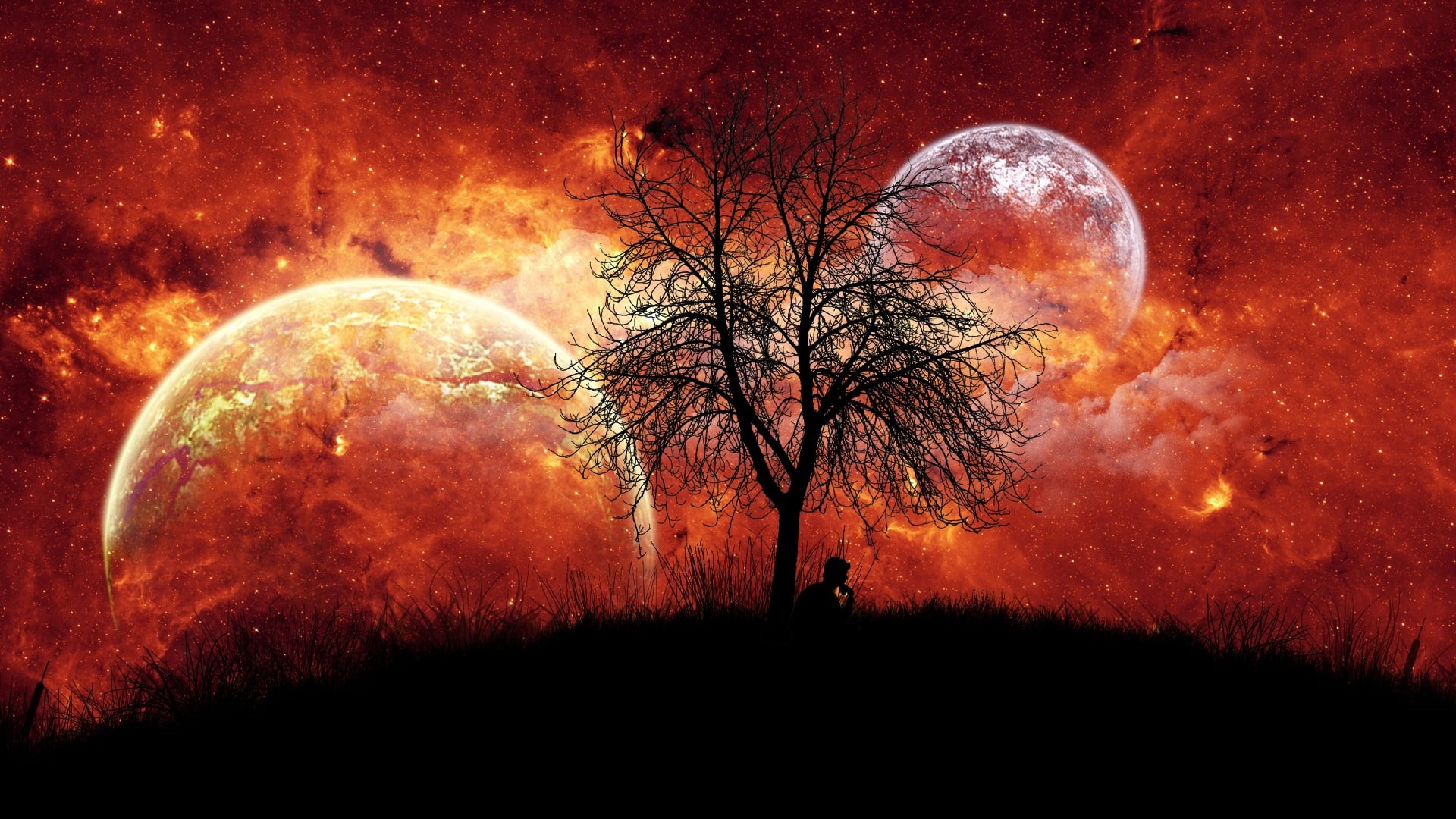spring, land, sunrise, pumpkin, color, digital composite, bright, art, plant, cloudscape, sunlight, fantasy, texture, tree trunk, sky, space, light, scenics - nature, HD Wallpaper