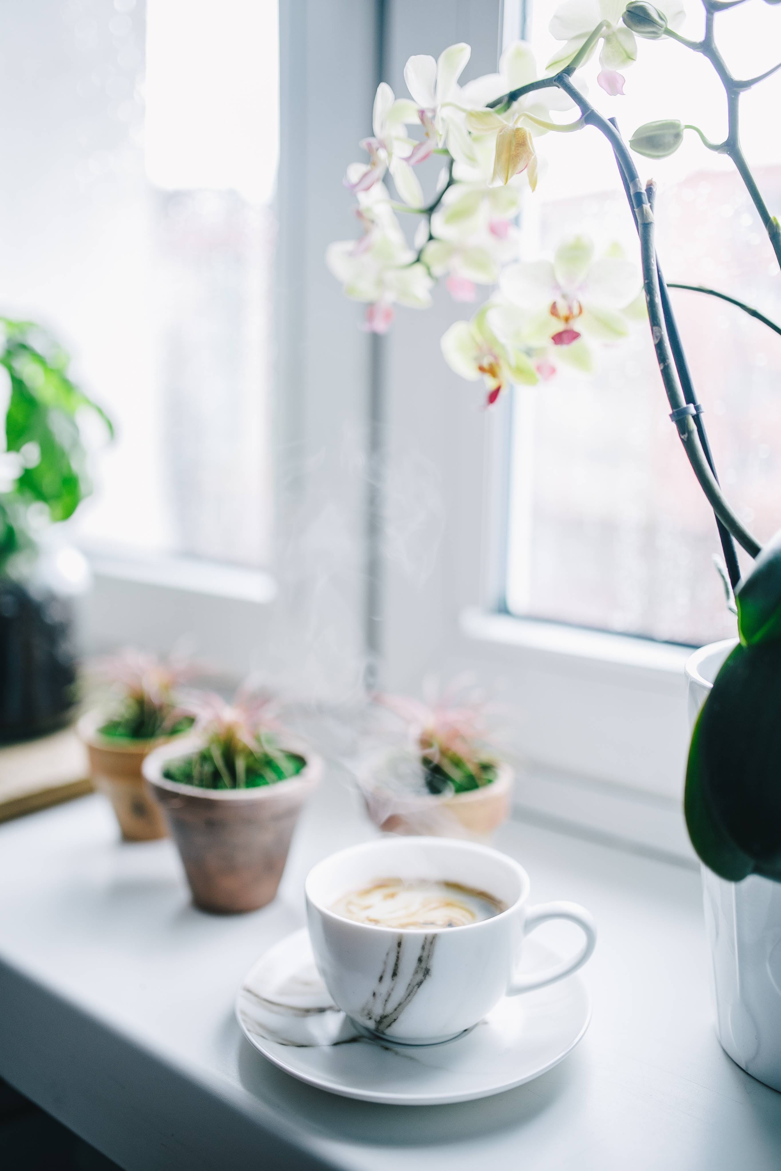 table, vase, indoors, window, food and drink, freshness, potted plant, cafe, flower arrangement, beauty in nature, day, home Interior, 4K, breakfast, close-up, Phone HD Wallpaper