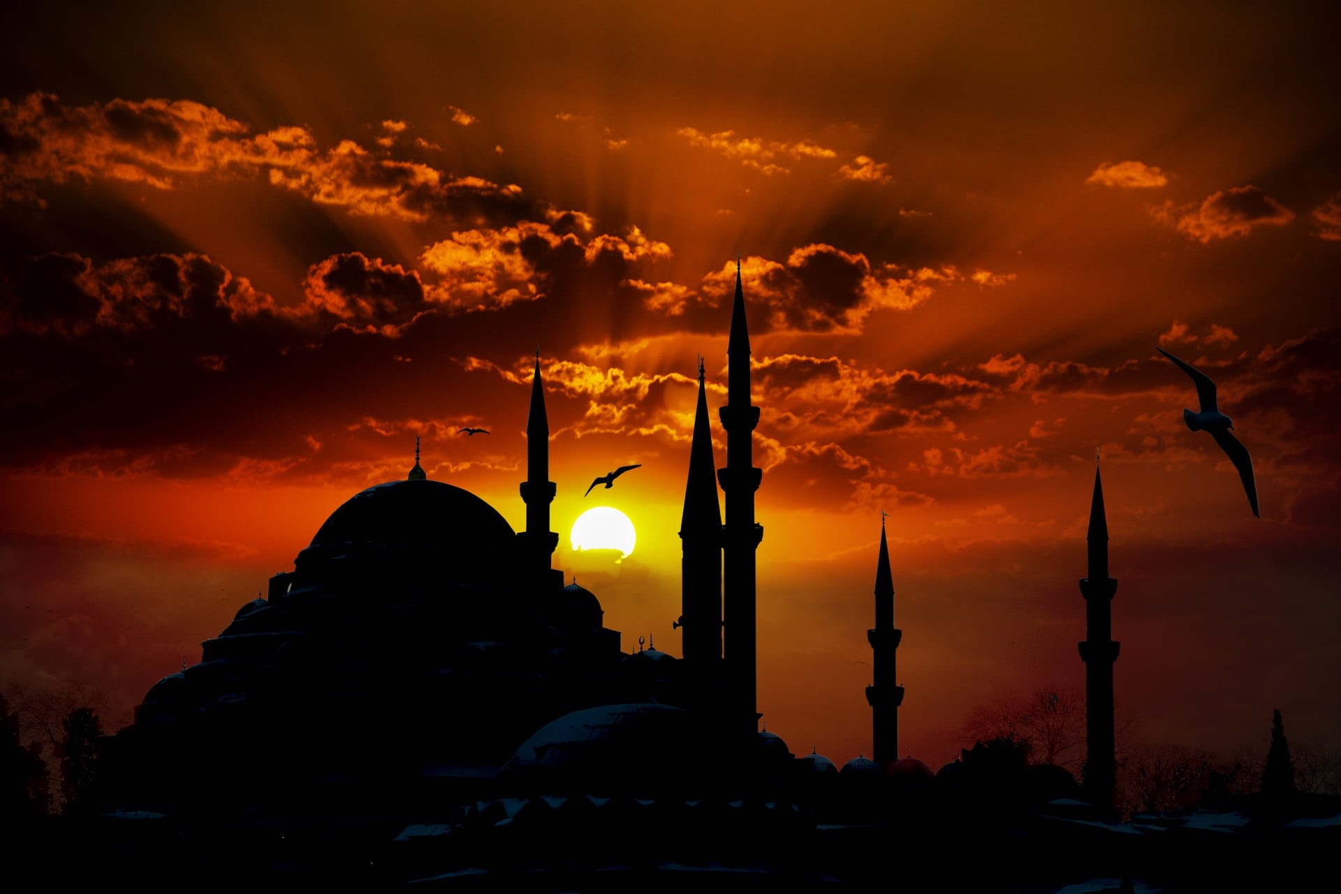 sky, built structure, mosque, suleymaniye mosque, gulls, spirituality, nature, belief, cloud - sky, silhouette, no people, clouds, low angle view, travel destinations, HD Wallpaper