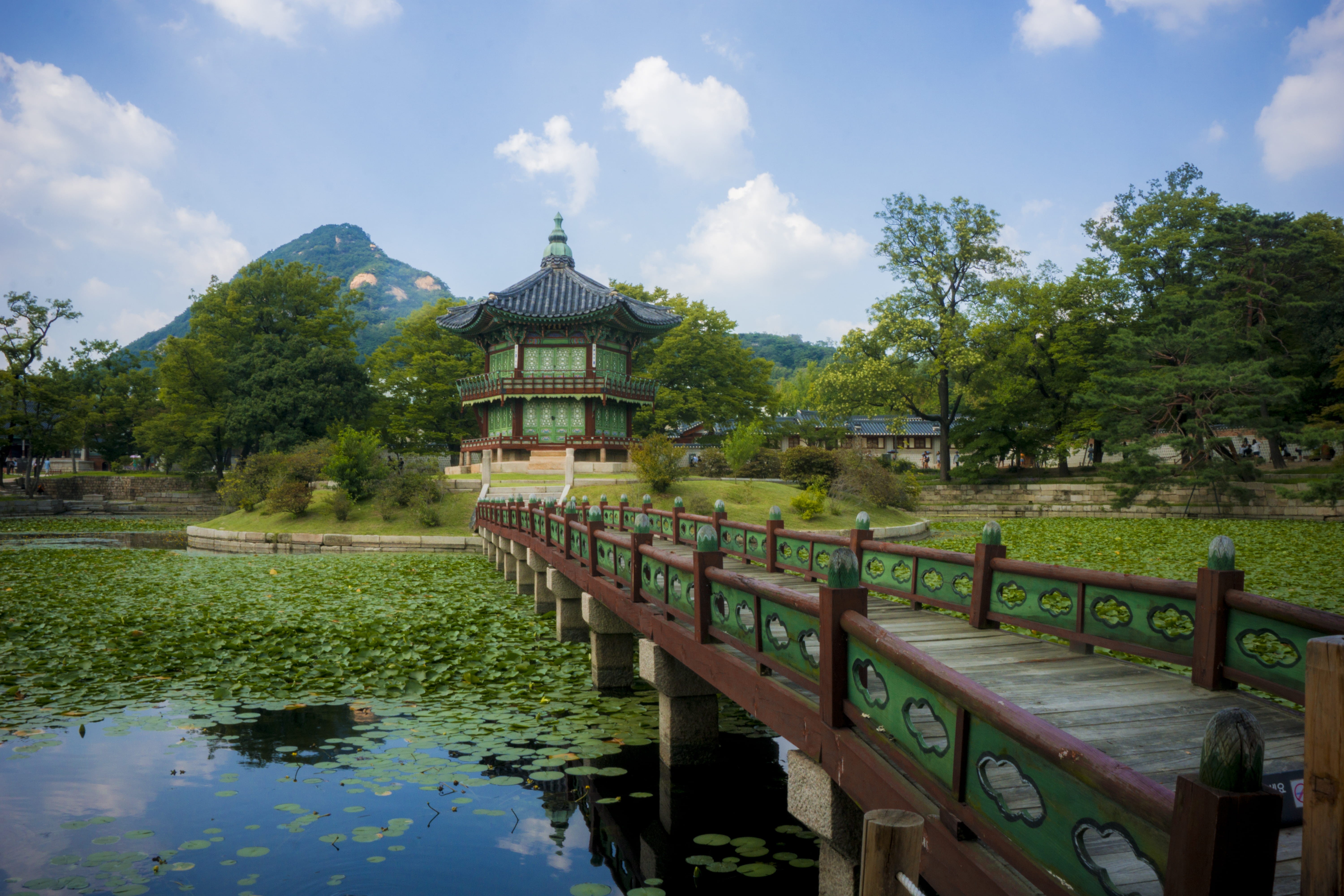 lotus, waterfront, gyeongbokgung, building exterior, 5K, reflection, no people, cloud - sky, korea, built structure, architecture, growth, building, pond, HD Wallpaper
