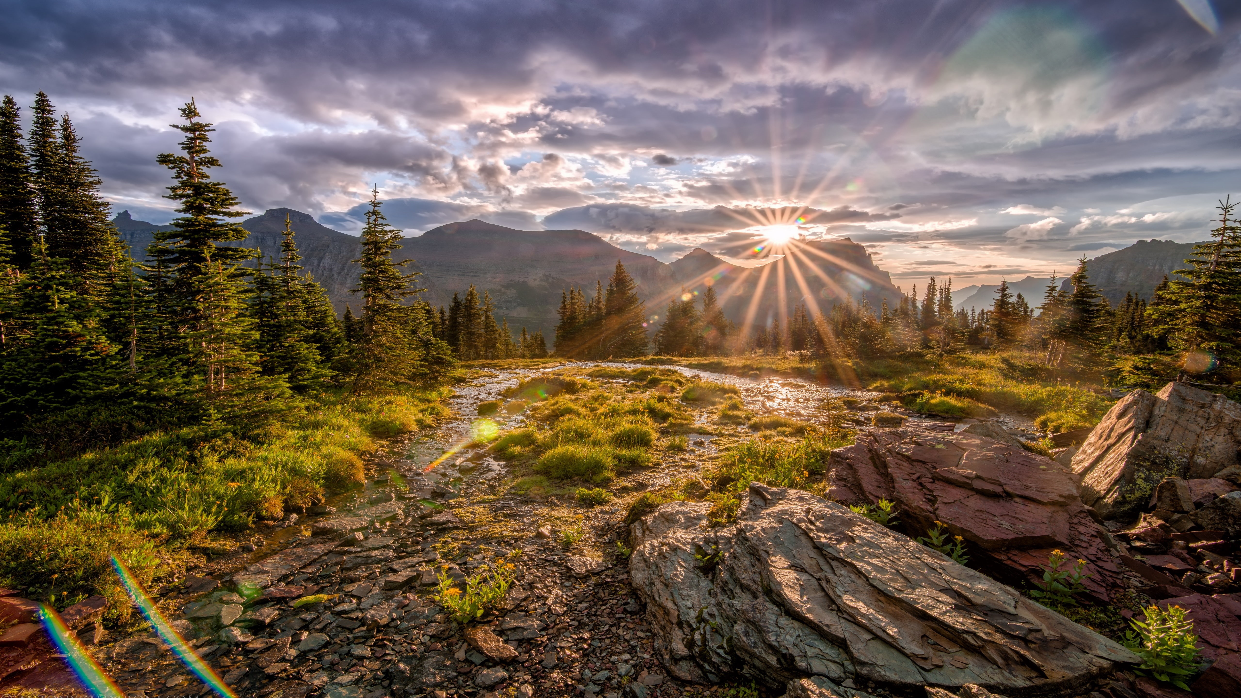 5k uhd, united states, montana, wilderness, sun ray, mount scenery, mountain, sunbeam, morning, forest, 5K, landscape, 5k, glacier national park, tree, HD Wallpaper