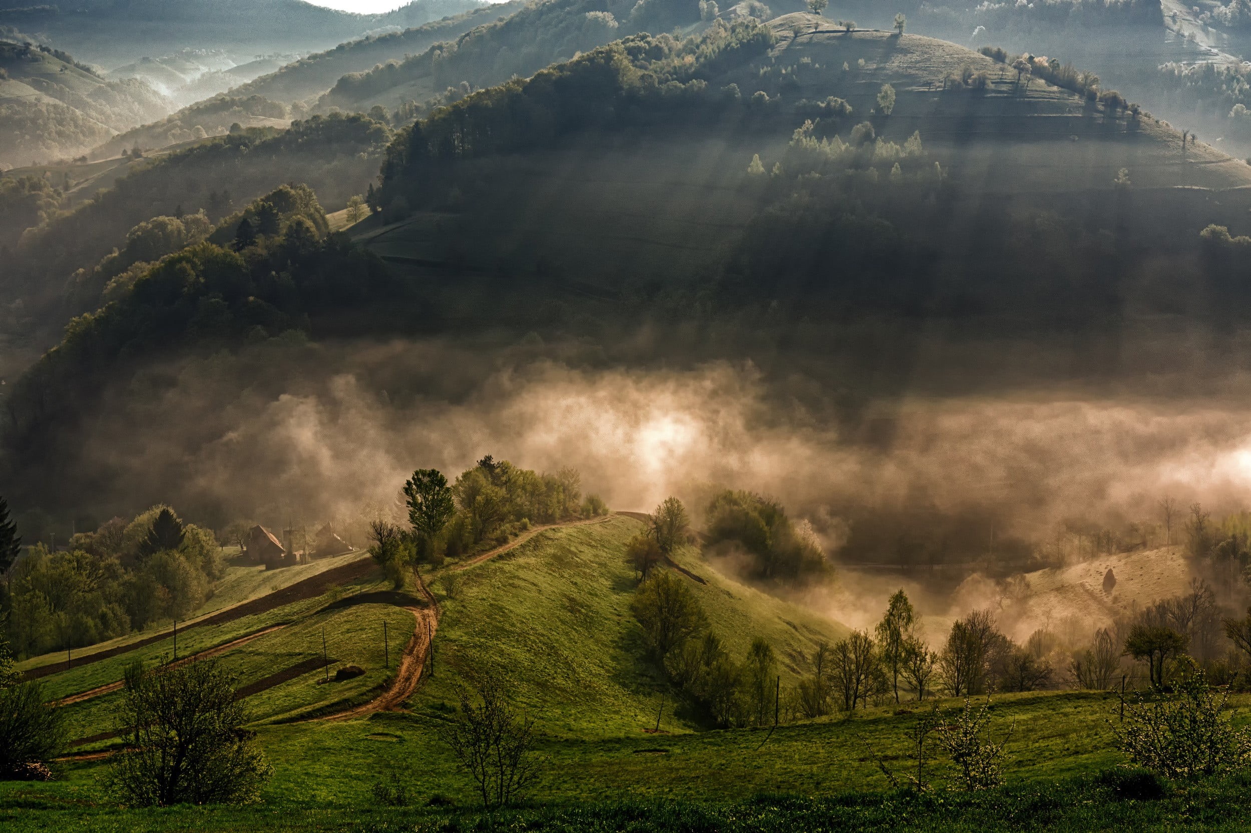 tranquility, sun, field, tea crop, no people, agriculture, fog, trees, land, plant, cloud - sky, environment, lights, 1080P, rural scene, beauty in nature, HD Wallpaper