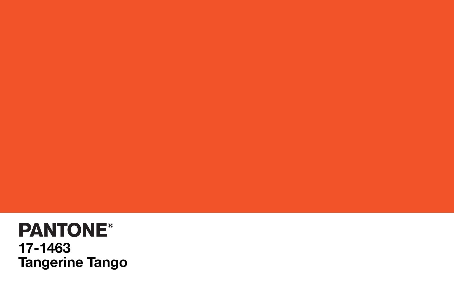color codes, orange, simple, 1080P, colorful, minimalism, HD Wallpaper