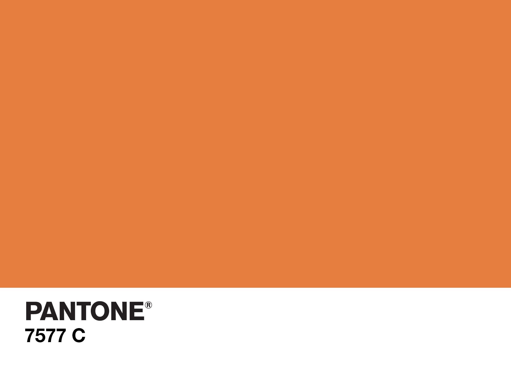 minimalism, simple, 1080P, colorful, orange, color codes, HD Wallpaper