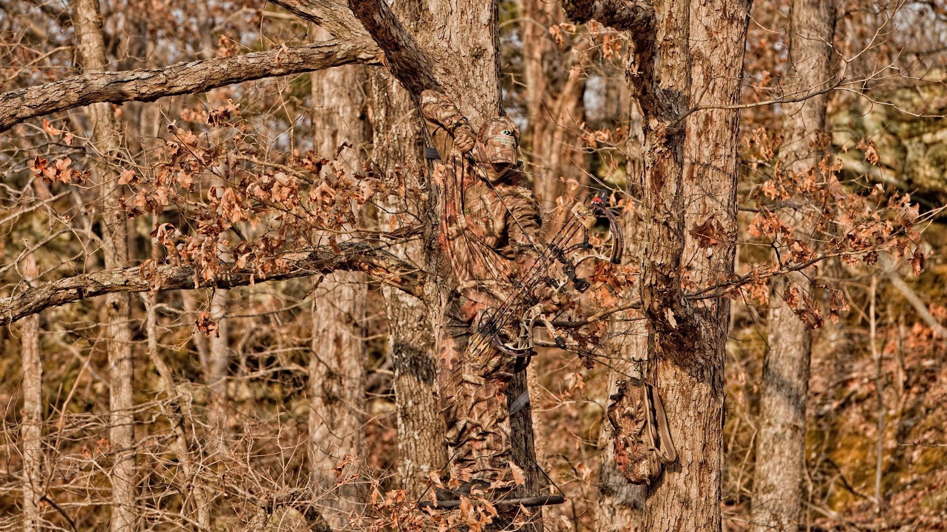 Woodland Camouflage, archery, camouflage, 1080P, HD Wallpaper