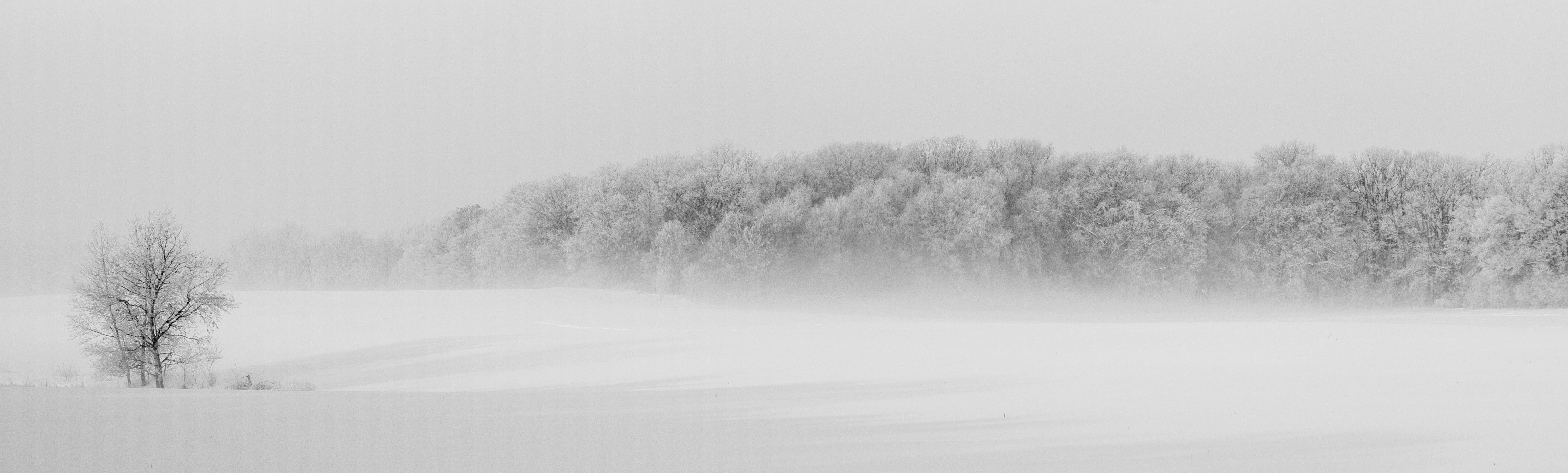 environment, cold, road, forest, landscape, no people, cold temperature, coniferous tree, woodland, mist, frost, snowing, beauty in nature, winter, trees, HD Wallpaper