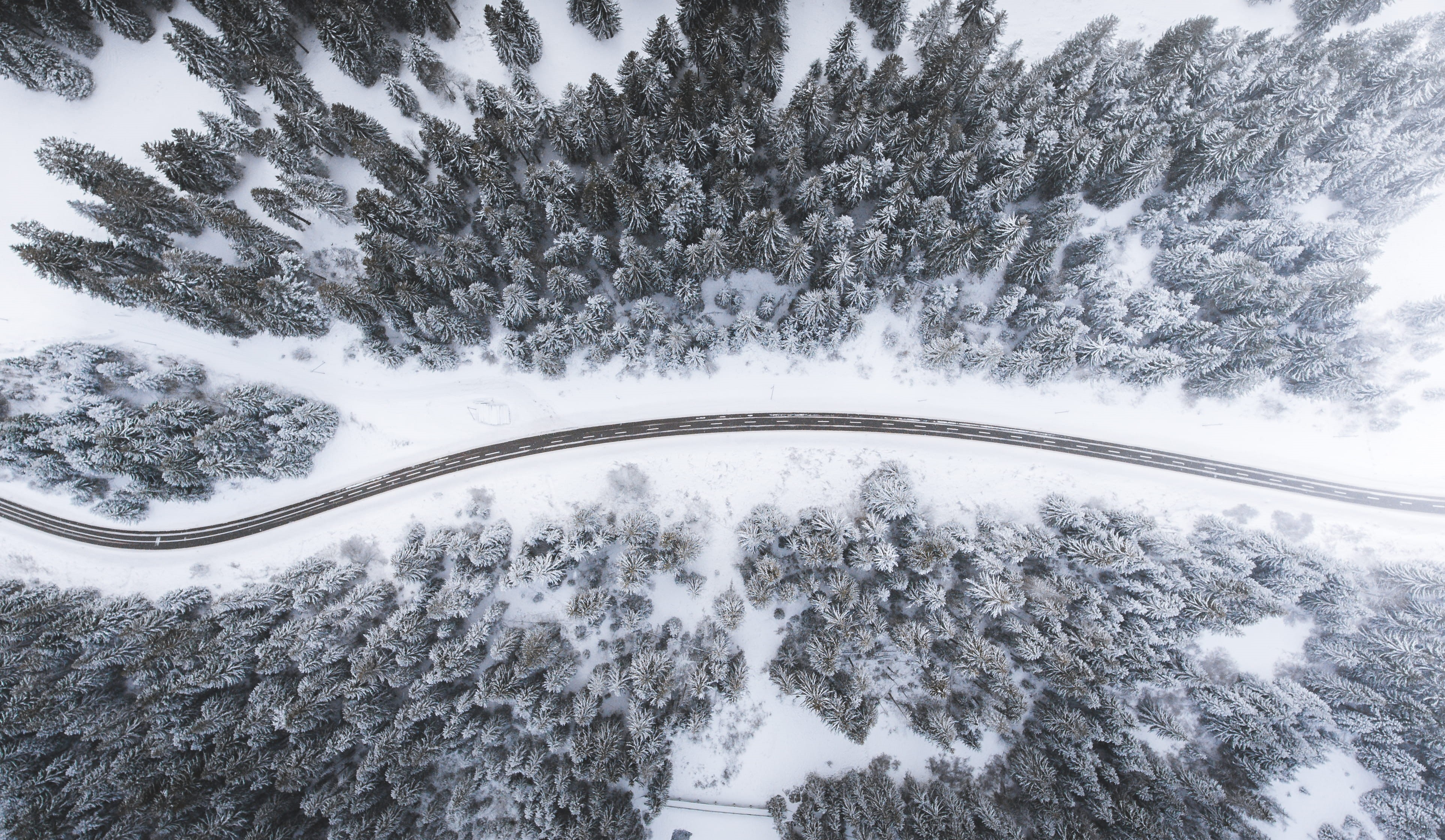 forest, winter, covered, eye’s, land, day, eye, covering, extreme weather, photography, snowcapped mountain, scenics - nature, mountain, drone view, environment, HD Wallpaper