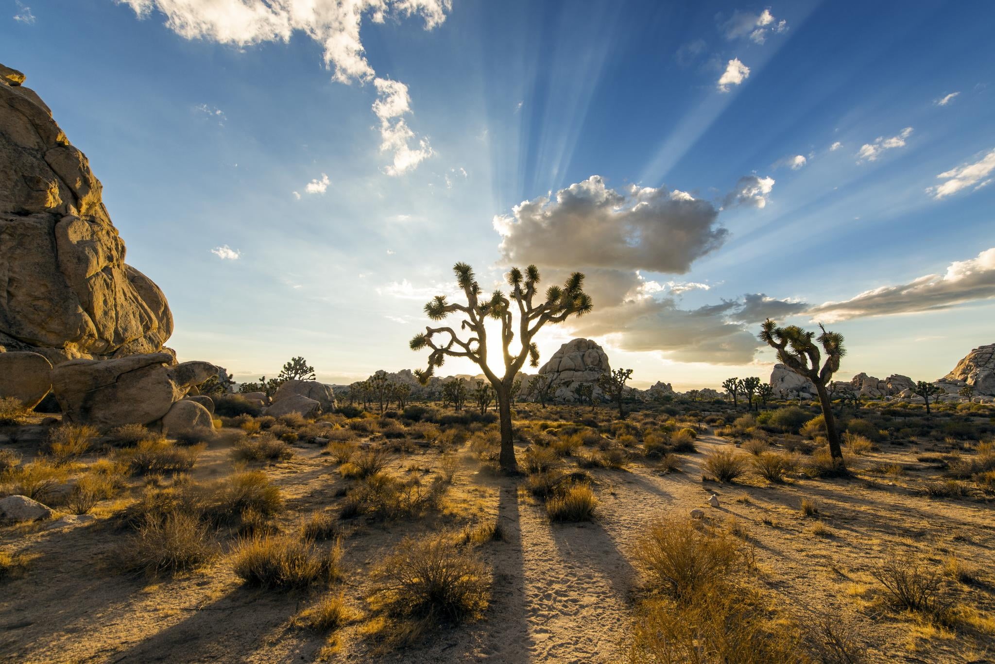 outdoors, Joshua Tree, nature, desert, 1080P, sky, sunset, Magic, landscape, joshua  Tree, trees, rock - Object, blue, photo, scenics, HD Wallpaper