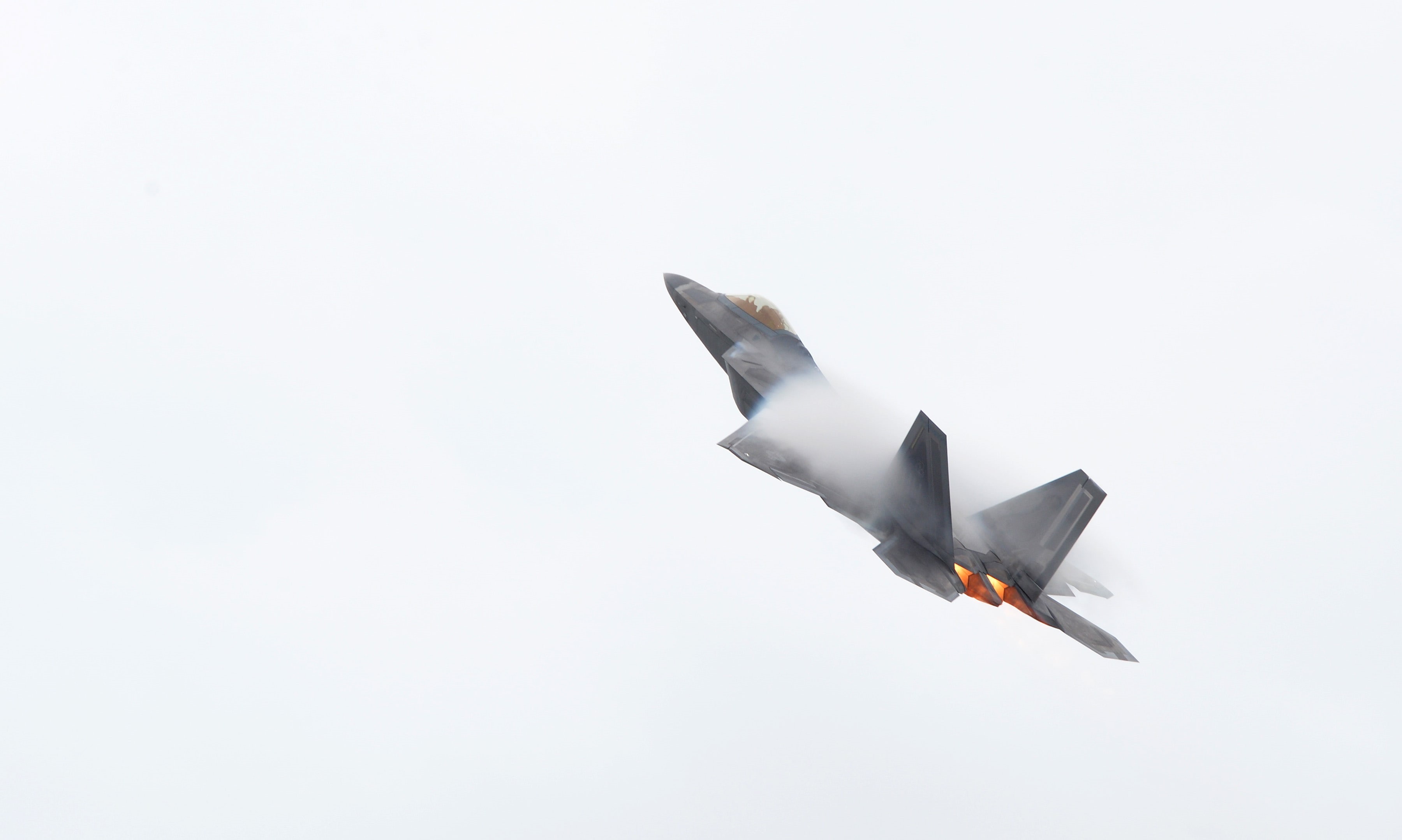 flying, mid-air, airplane, bird, animal themes, low angle view, outdoors, no people, copy space, military, day, animal, vertebrate, aircraft, one animal, HD Wallpaper