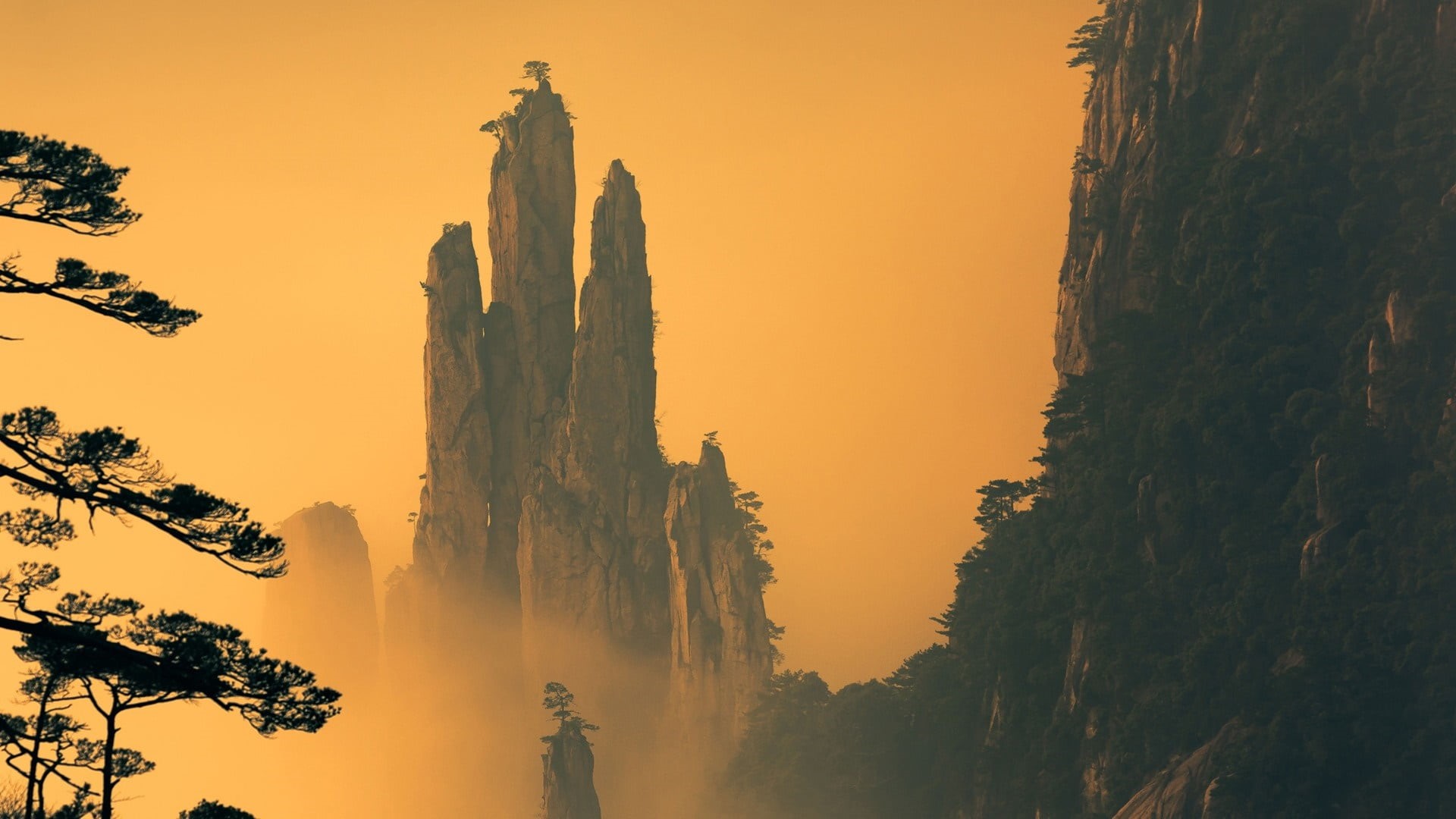 growth, beauty in nature, orange sky, majestic, mt huangshan, non-urban scene, plant, huangshan, huangshan mountain range, tree trunk, no people, tranquil scene, HD Wallpaper