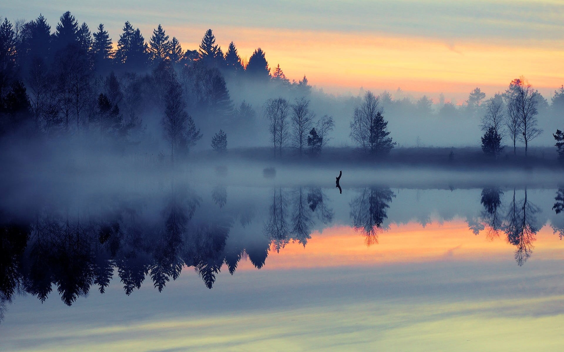 autumn, plant, lake, blue, change, beauty in nature, water, sun, reflection lake, outdoors, reflection, 1080P, fog, forest, nature, no people, landscape, HD Wallpaper
