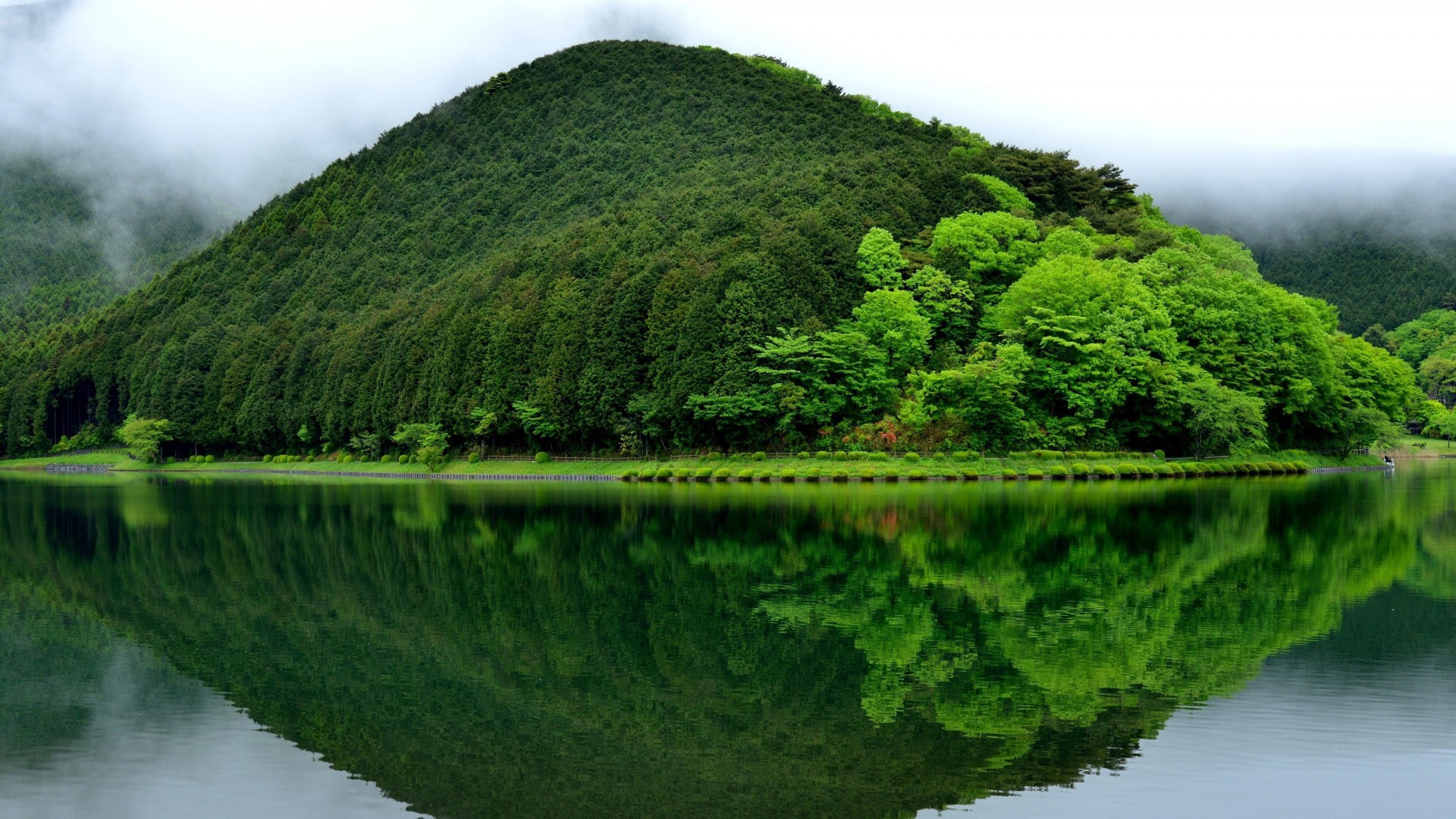water, fog, mountain, beside, landscape, trees, body, nature, photography, lake, 1080P, green, HD Wallpaper
