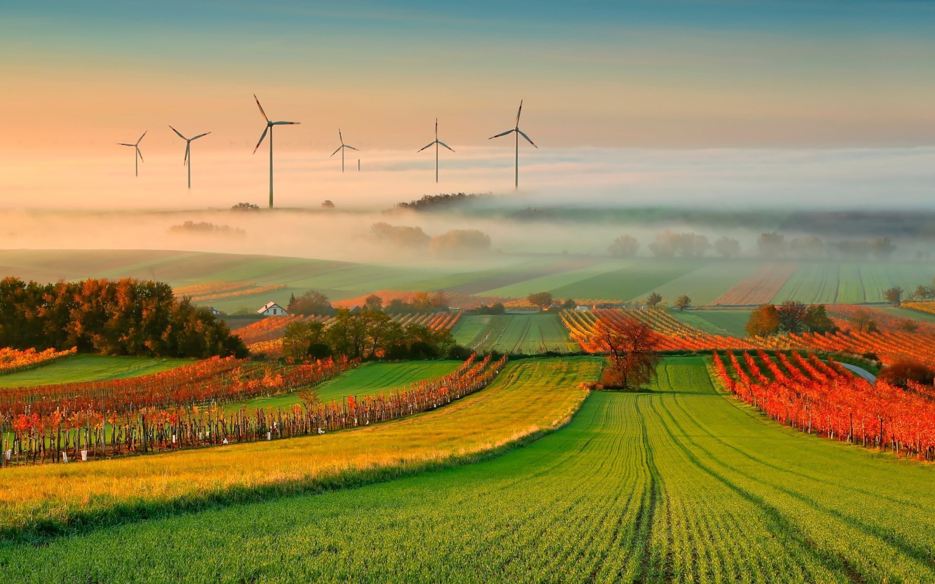 1080P, 1920x1200, cloud, sky, tree, windmill, Fog, nature, HD Wallpaper