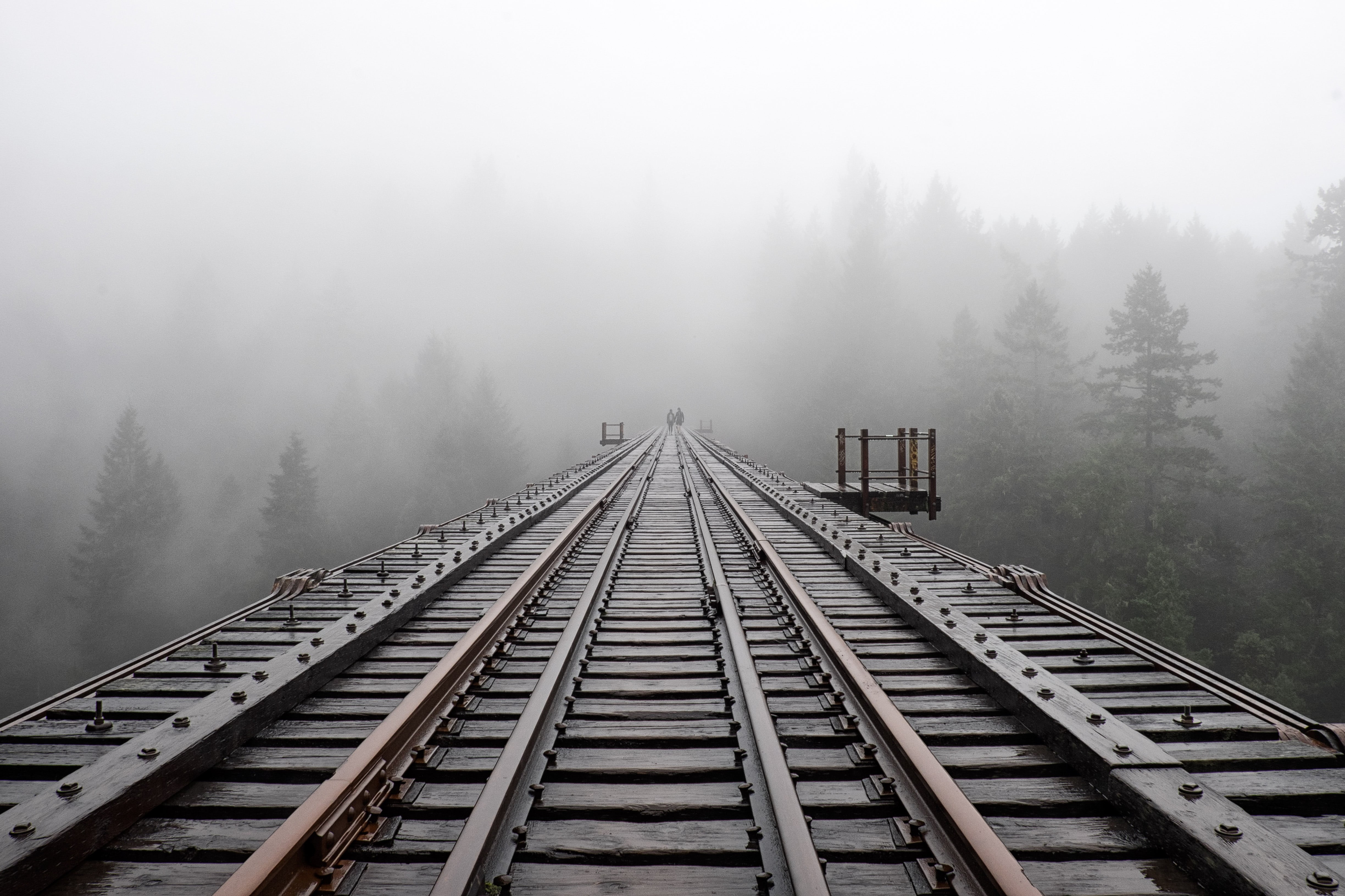 mist, railway, 4K, railroad Track, train, fog, photo, trees, Goldstream Provincial Park, steel, rail, trestle, victoria  british columbia, transportation, HD Wallpaper
