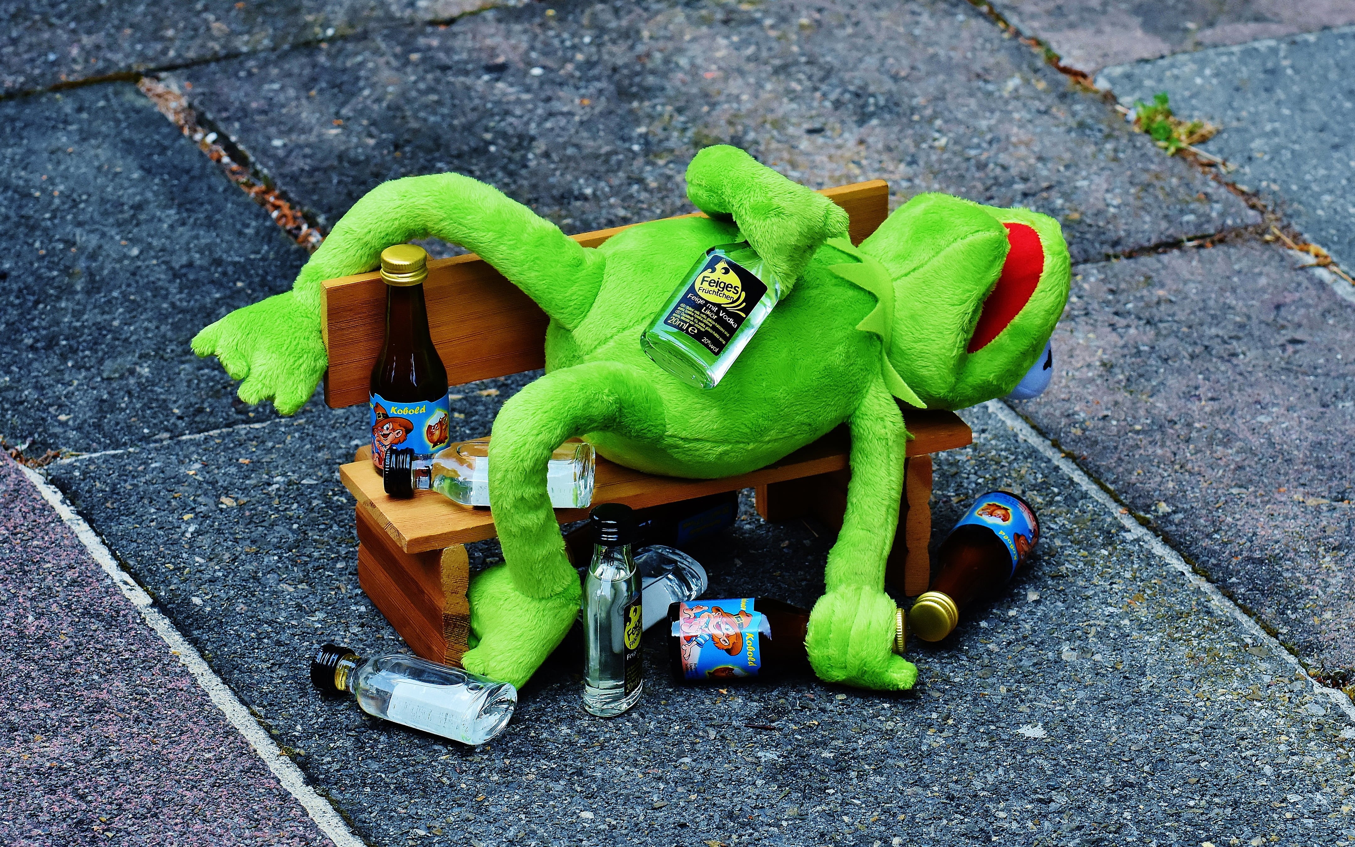 footpath, toy, nature, humor, day, kermit, Kermit the Frog, outdoors, 4K, focus on foreground, reptile, representation, The Muppets, high angle view, vertebrate, HD Wallpaper