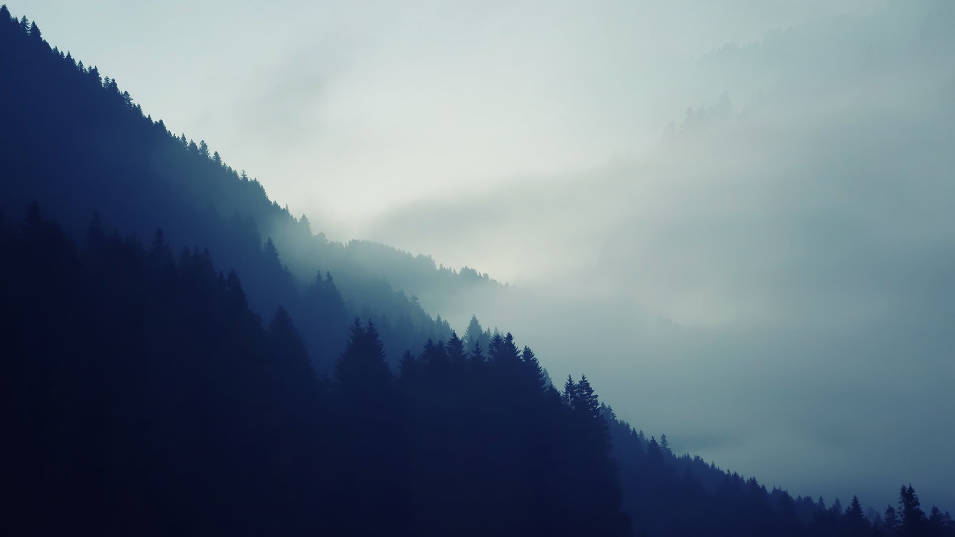 nature, outdoors, silhouette, cold temperature, sky, fog, tree, growth, 1080P, mountain, coniferous tree, tranquility, no people, beauty in nature, mountains, HD Wallpaper