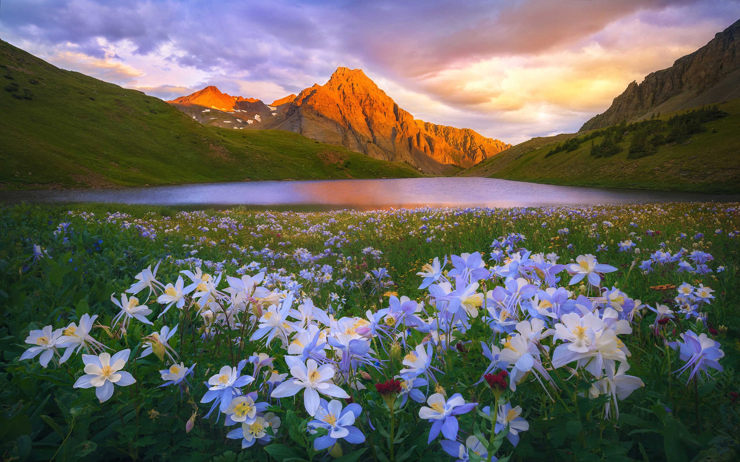 mountains, meadow, flowers, san, landscape, lake, 2K, colorado, hd, juan, island, sunset, HD Wallpaper