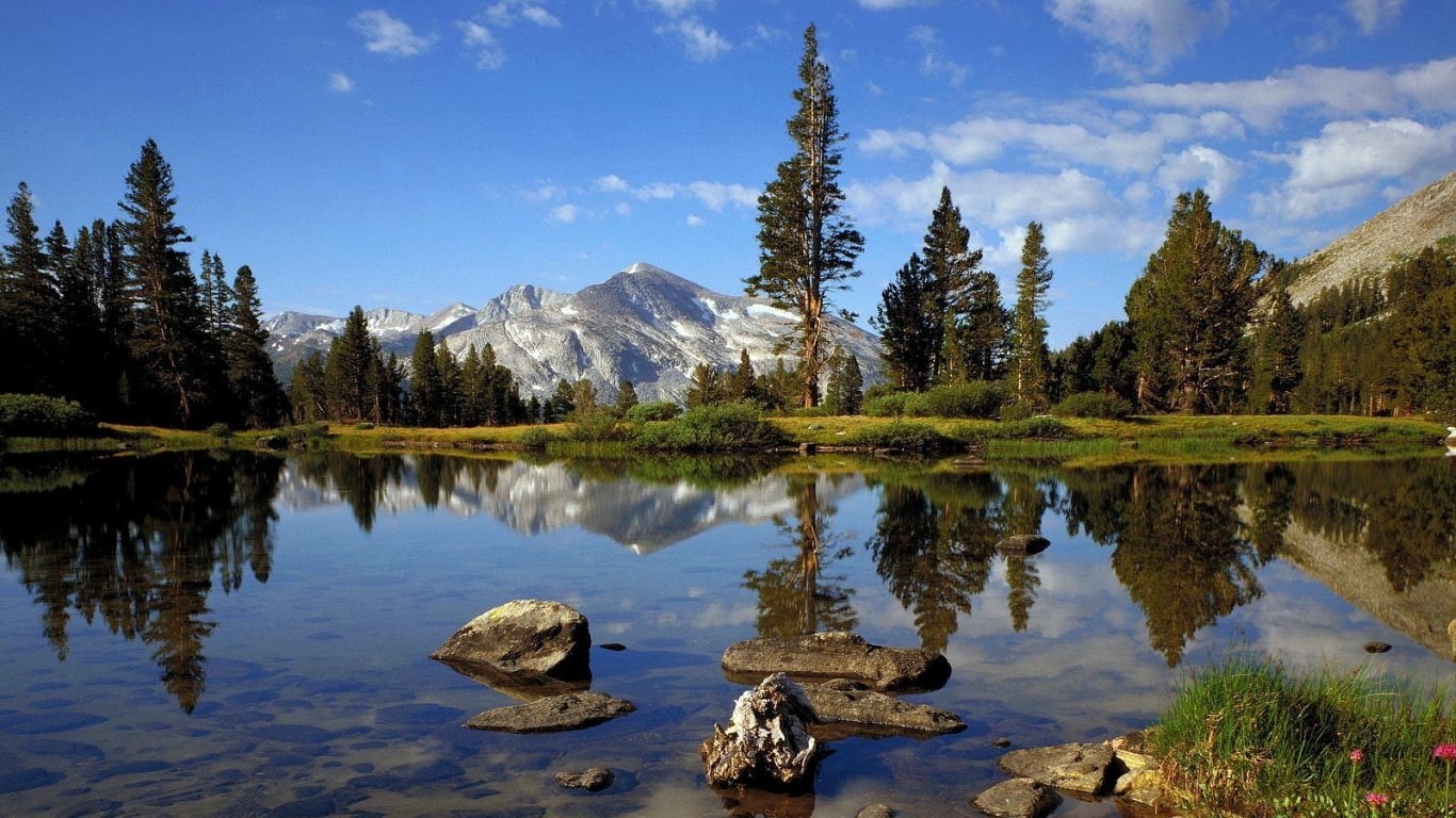 california, art, yosemite, mountains, nature, x, forests, forest, hd, 720P, Landscapes, HD Wallpaper