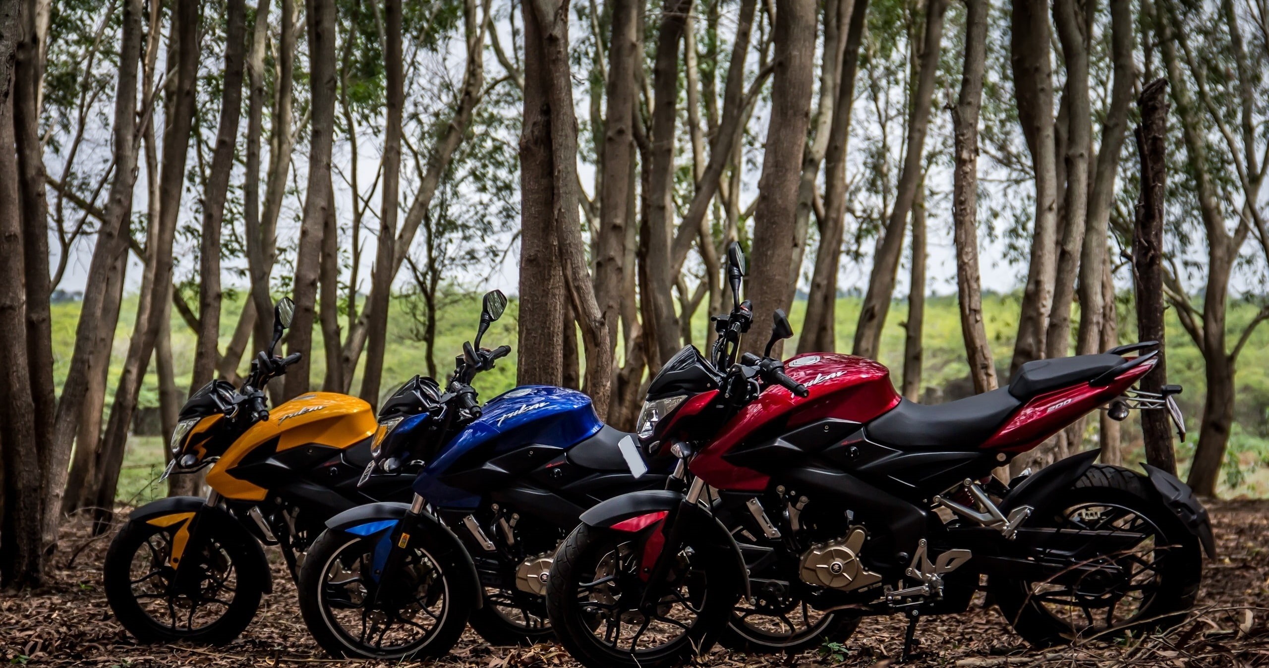 plant, Motorcycles, nature, 2K, blue, transportation, tranquility, ns, growth, forest, mode of transportation, three, woodland, trunk, land, bikes, pulsar, HD Wallpaper