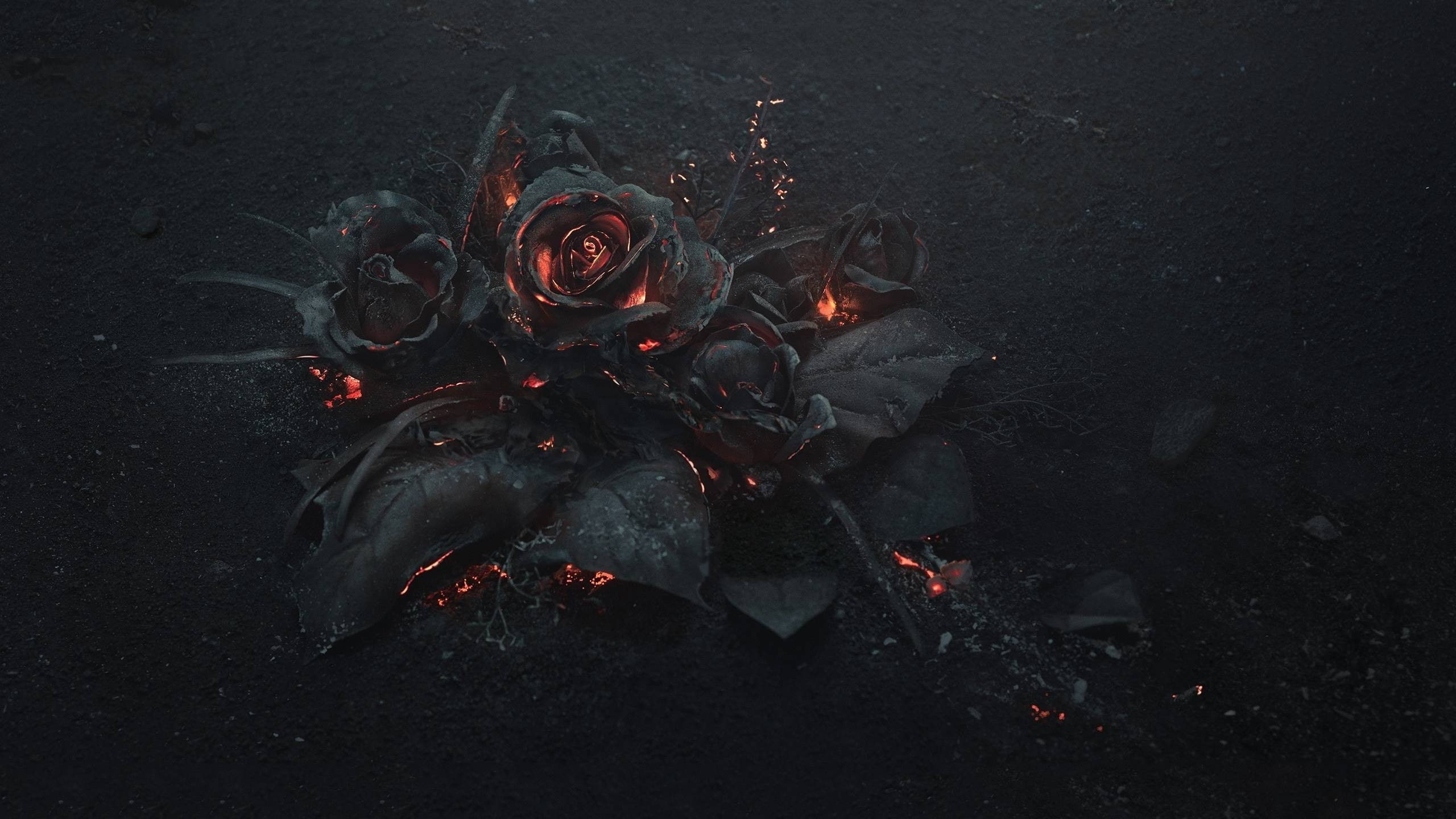 2K, land, outdoors, Gothic, burnt, heat - temperature, field, directly above, fire, high angle view, fire - natural phenomenon, flowers, rose, plant, no people, HD Wallpaper