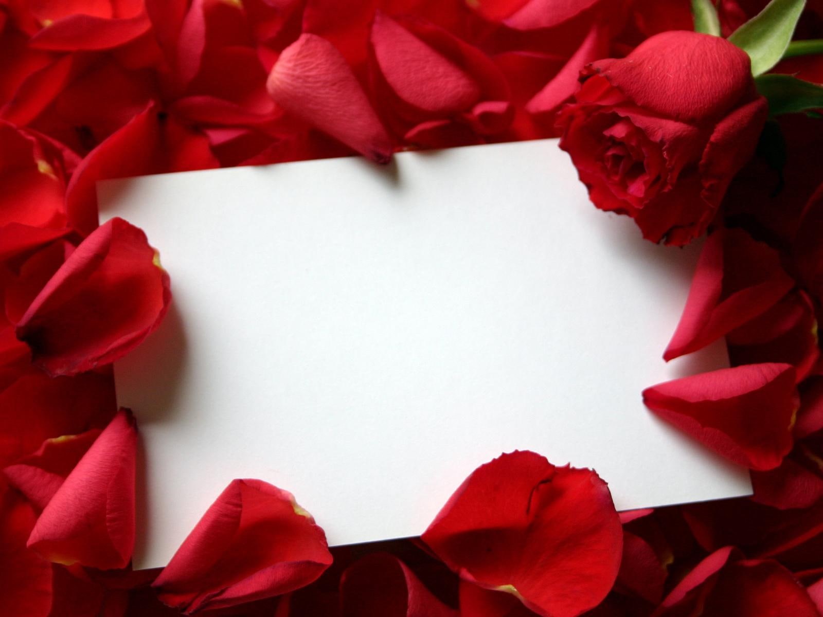 roses, 720P, love, flowers, hd, letter, red, HD Wallpaper
