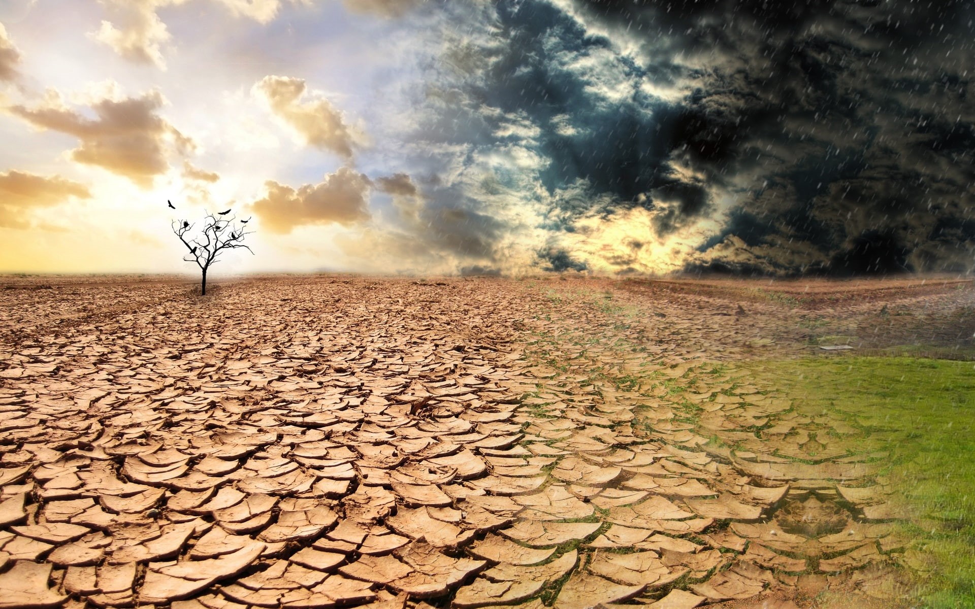 1080P, Land, Dry, HD Wallpaper