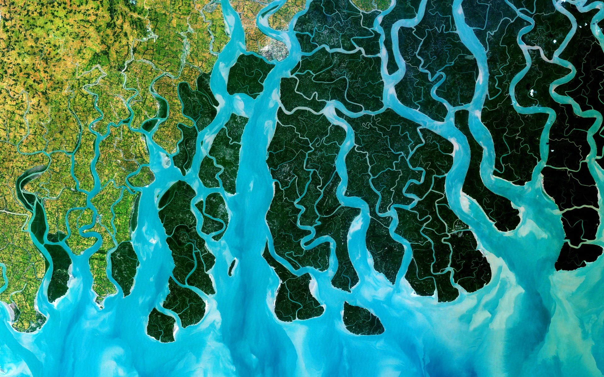 turquoise colored, green color, pattern, Ganges, landscape, nature, land, 1080P, warm clothing, healthcare and medicine, no people, close-up, aerial, biology, HD Wallpaper