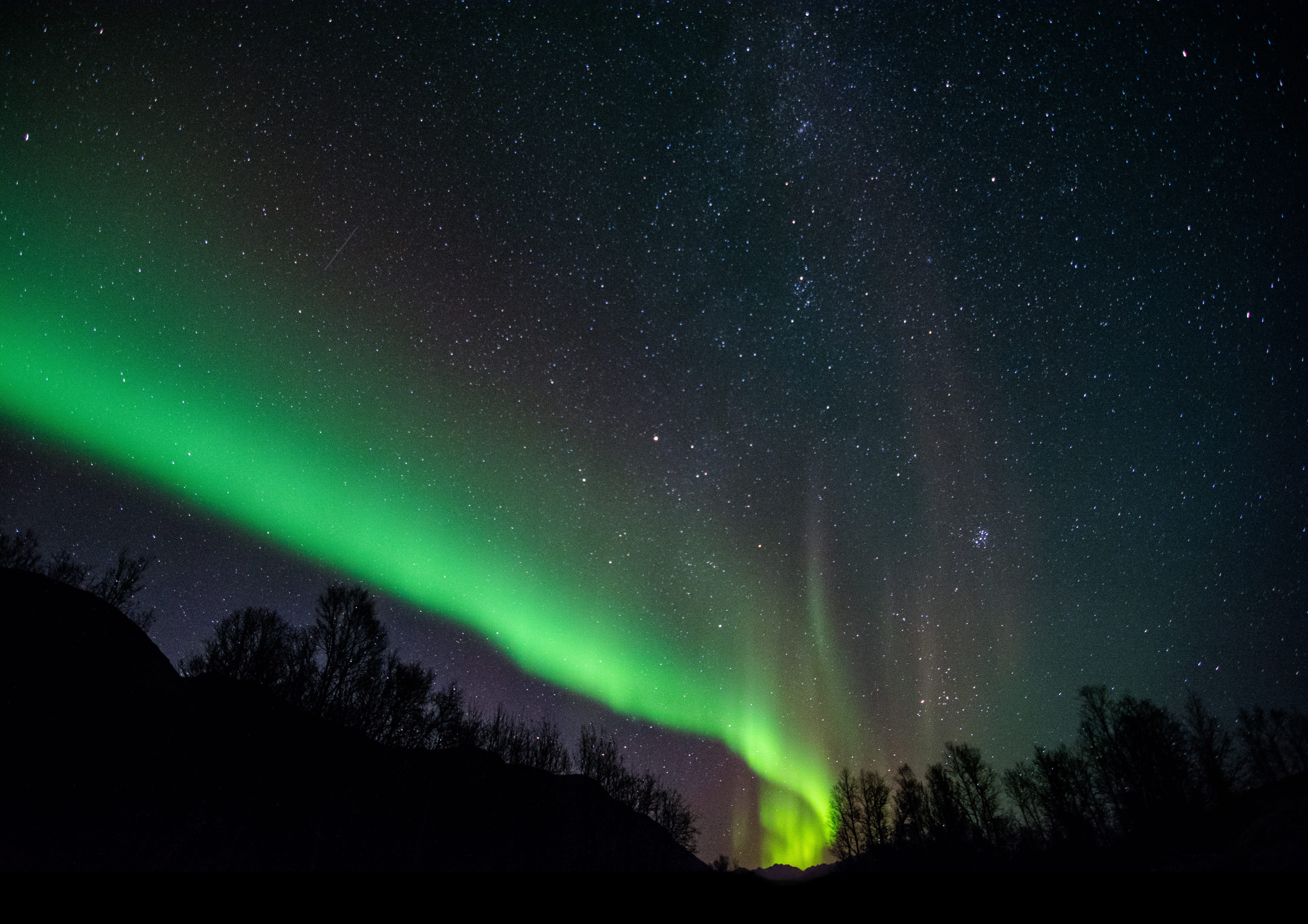 star field, trees, outdoors, night, stars, mystery, starry night, aurora polaris, tranquil scene, atmosphere, milky way, space, photo, scenics - nature, HD Wallpaper