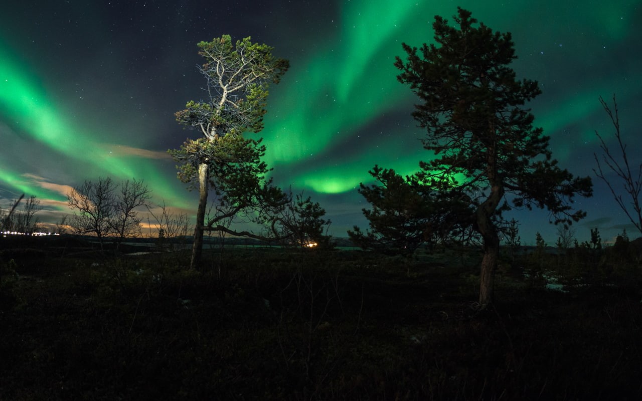 green, trees, aurora, hd, night, nature, lights, northern, 720P, borealis, HD Wallpaper