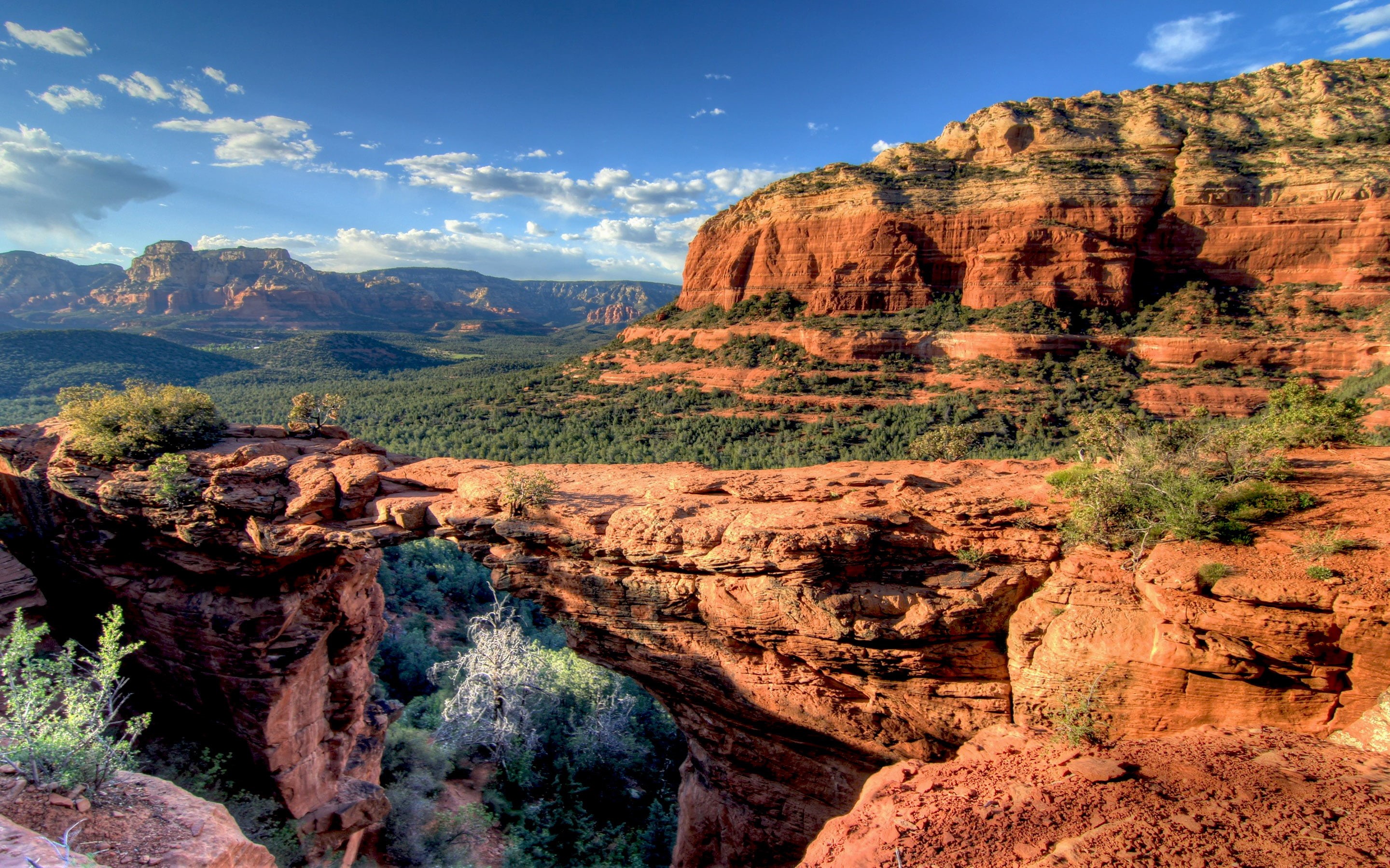 outdoors, sedona, solid, geology, arid climate, formation, 2K, mountain, devils, idyllic, eroded, travel destinations, united, tranquility, bridge, tree, HD Wallpaper