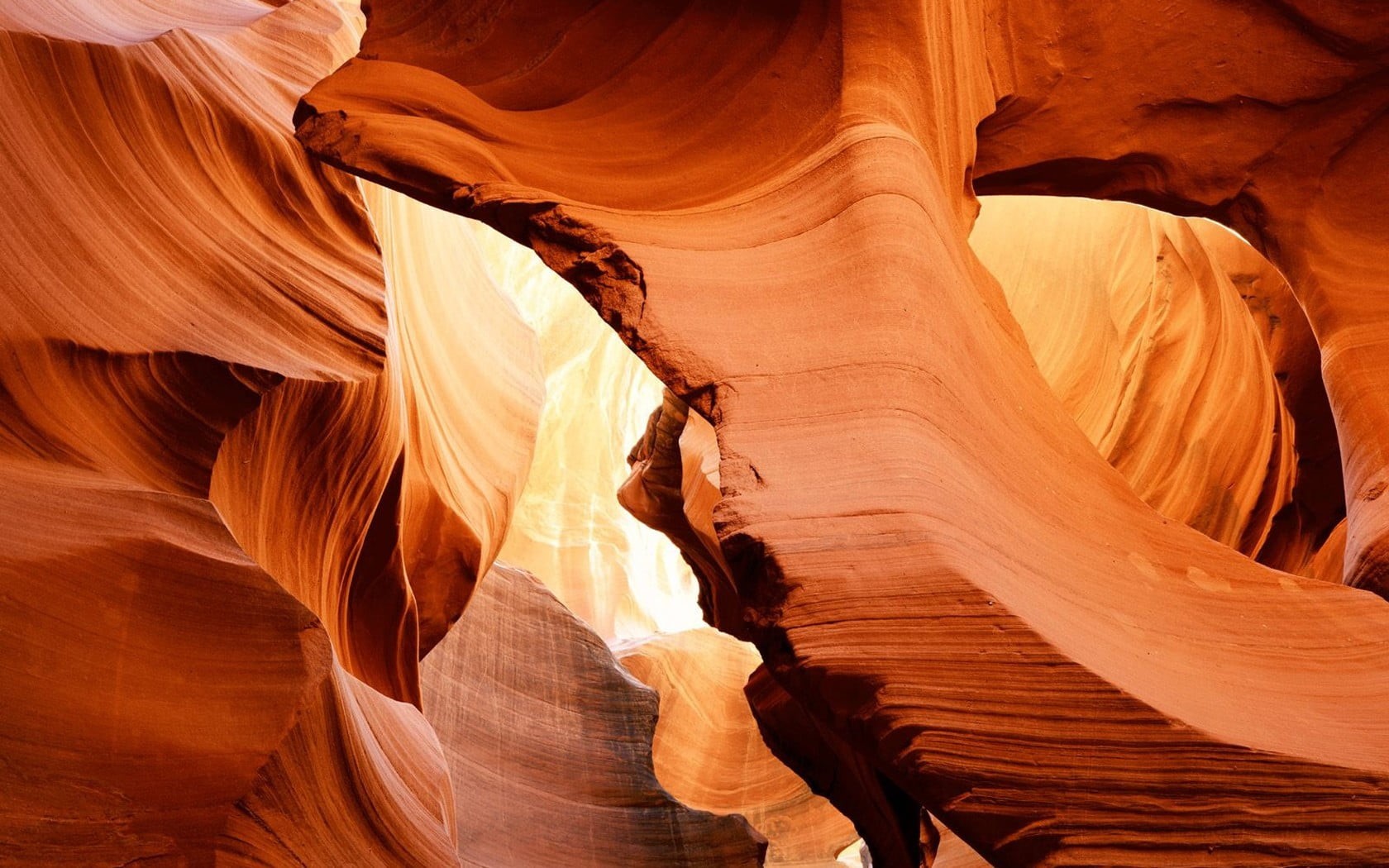 720P, canyon, scenics - nature, geology, textured, rock formation, decor, no people, white, tranquility, wooden, solid, sandstone, brown, travel destinations, HD Wallpaper