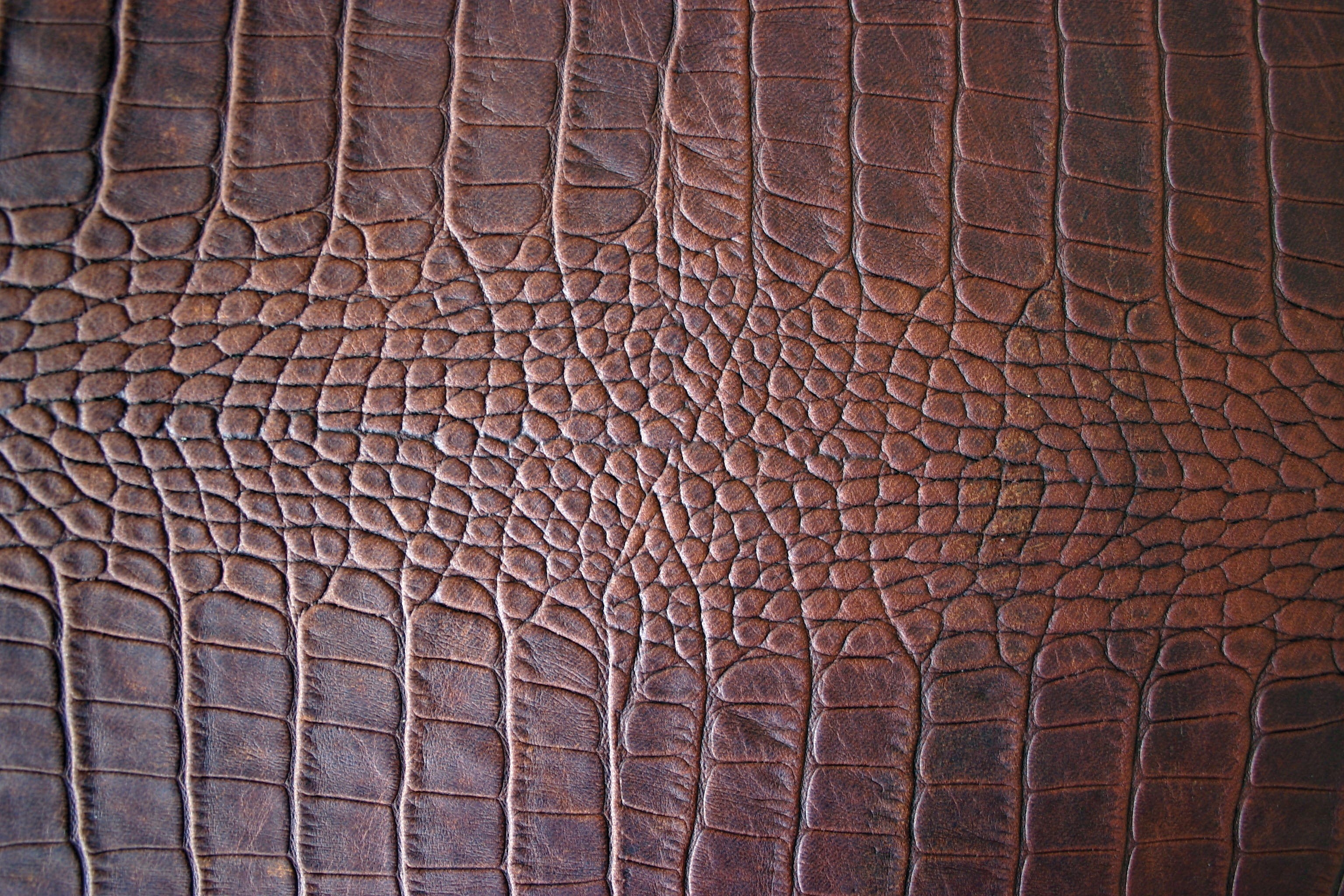 reptile, brown leather, abstract, animal body part, skin, textile, day, architecture, close-up, 2K, ornate, Leather, Brown, Structure, no people, old, HD Wallpaper